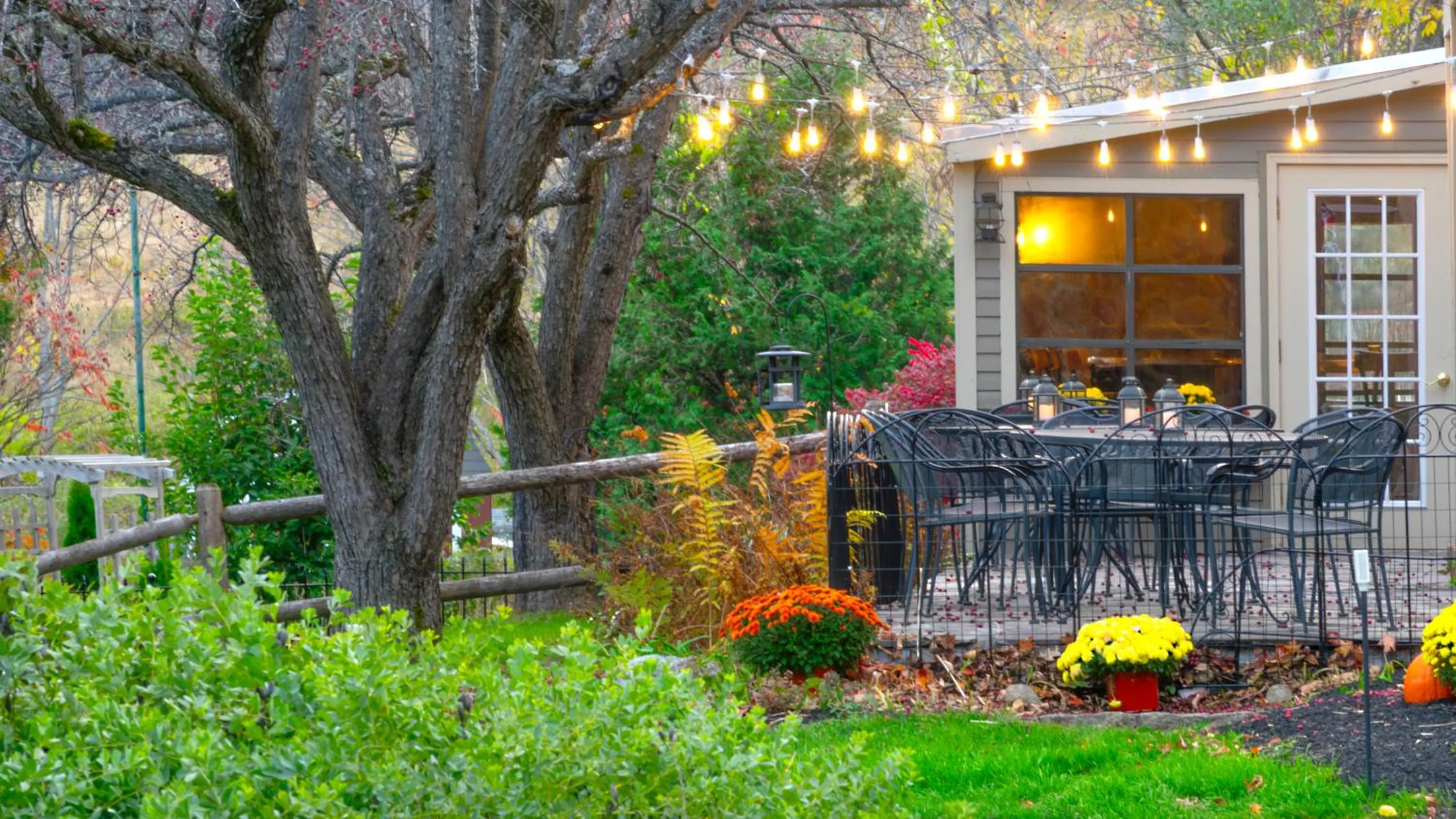 Patio in Whitneys Inn at Black Mountain