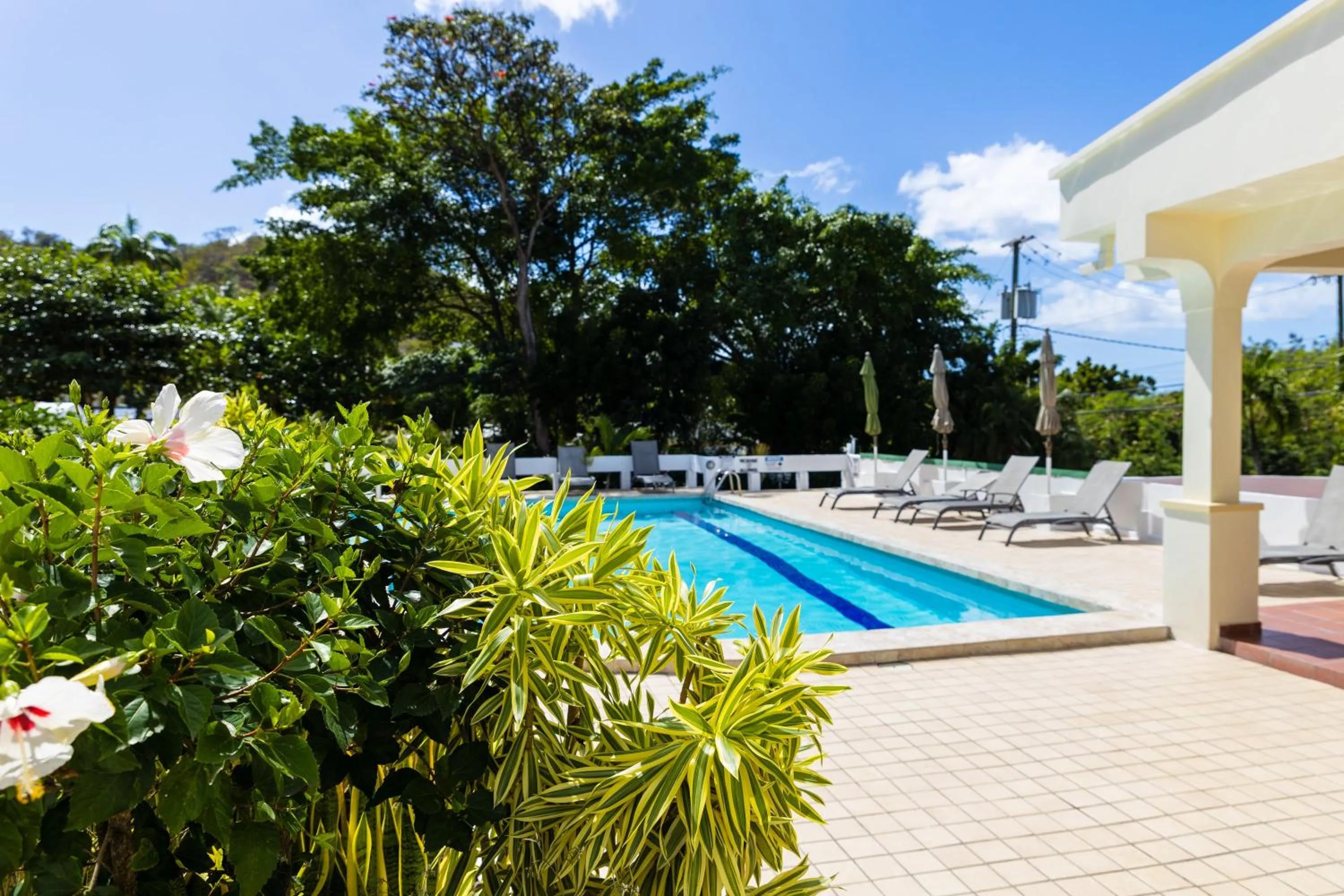 Swimming pool in Siesta Hotel