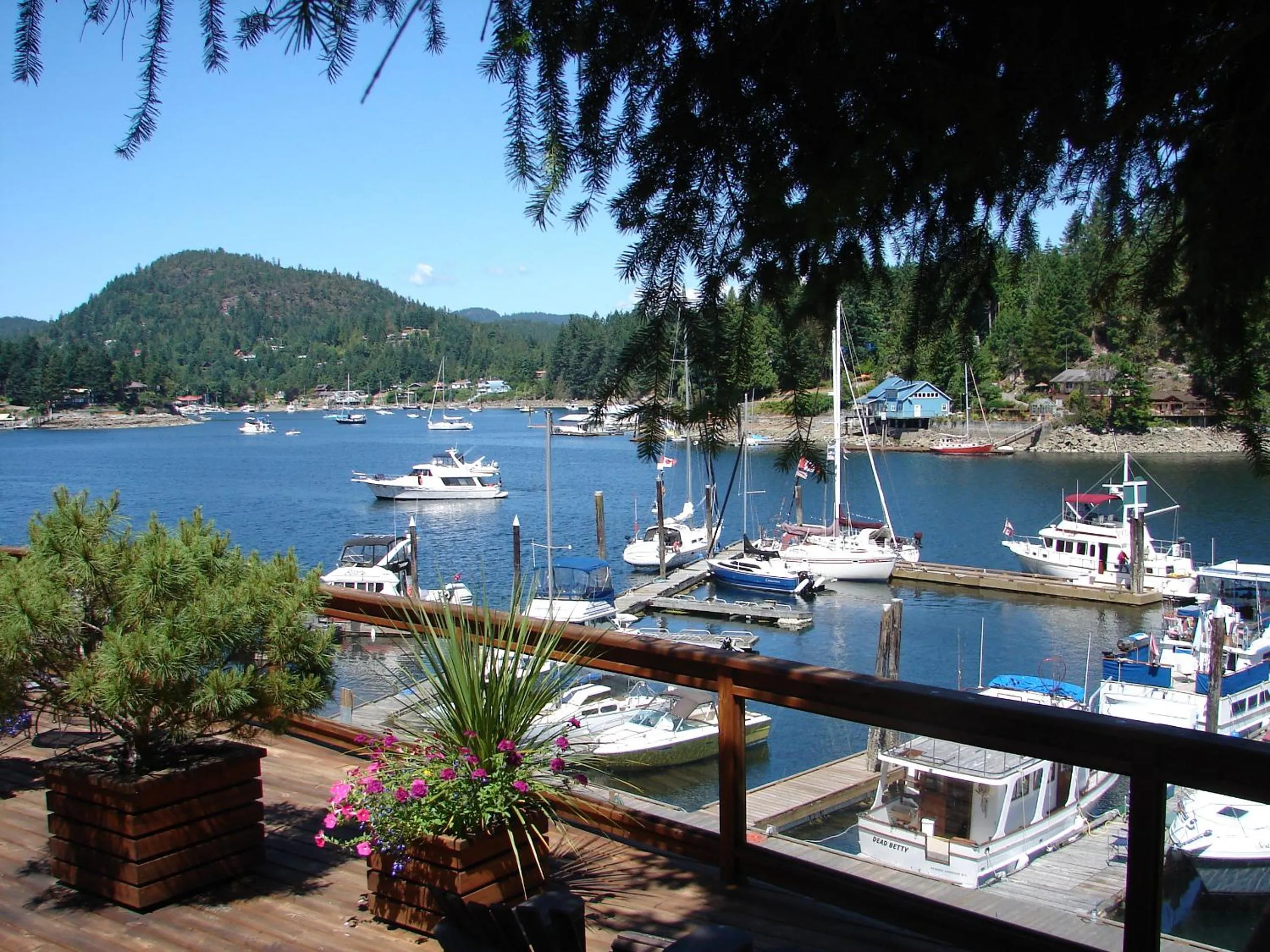 Patio in Sunshine Coast Resort