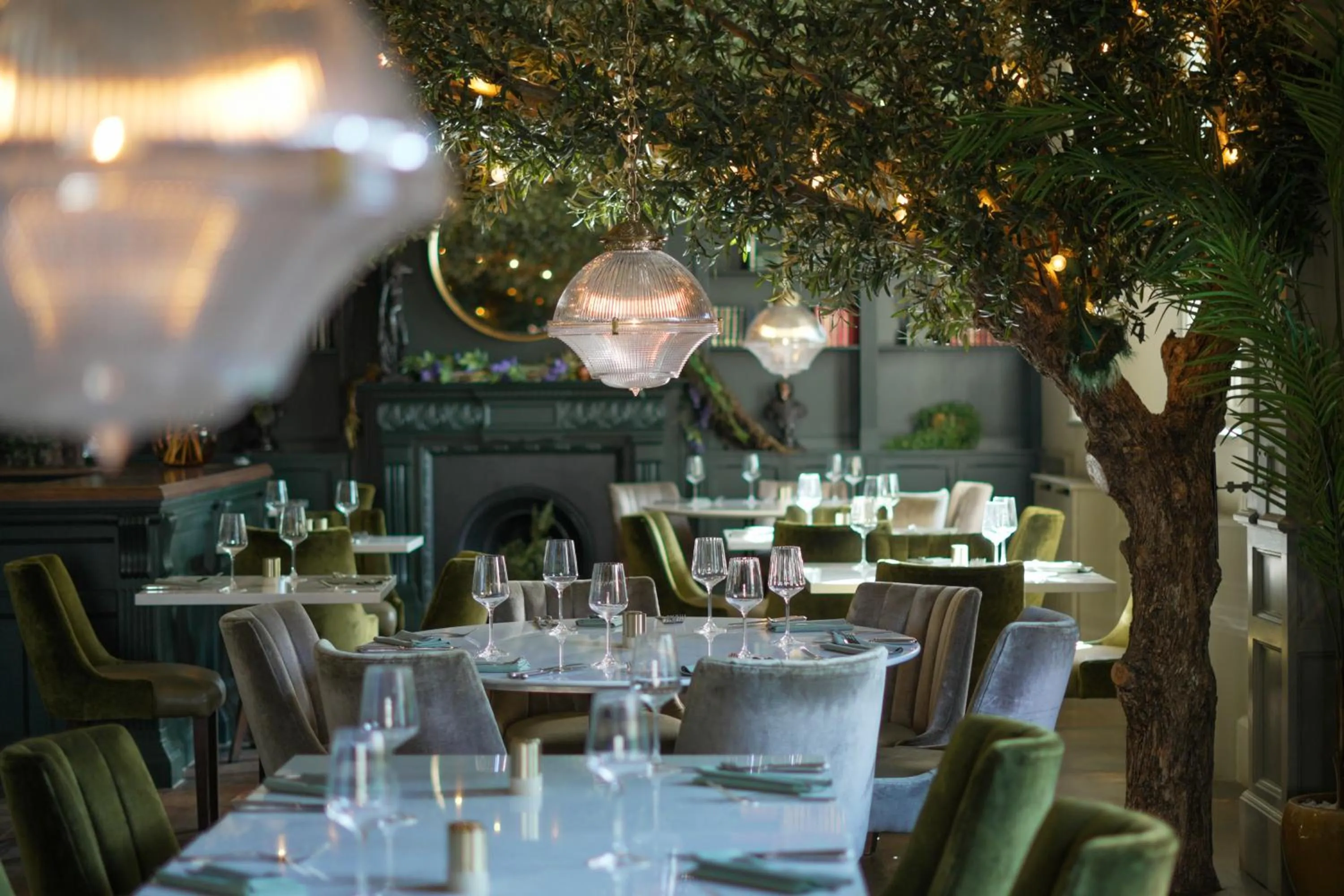 Restaurant/places to eat in J.D.Young