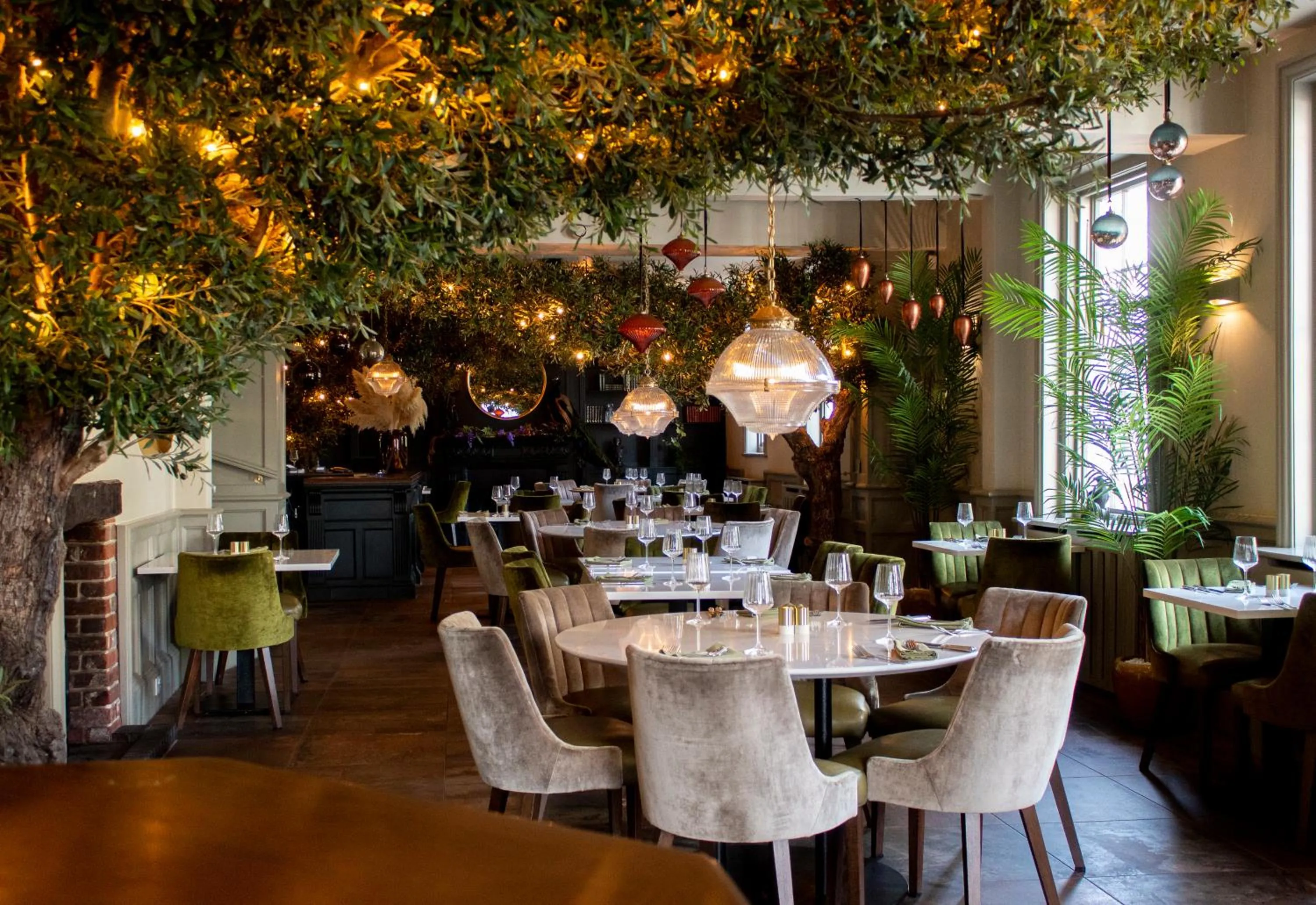 Restaurant/places to eat in J.D.Young