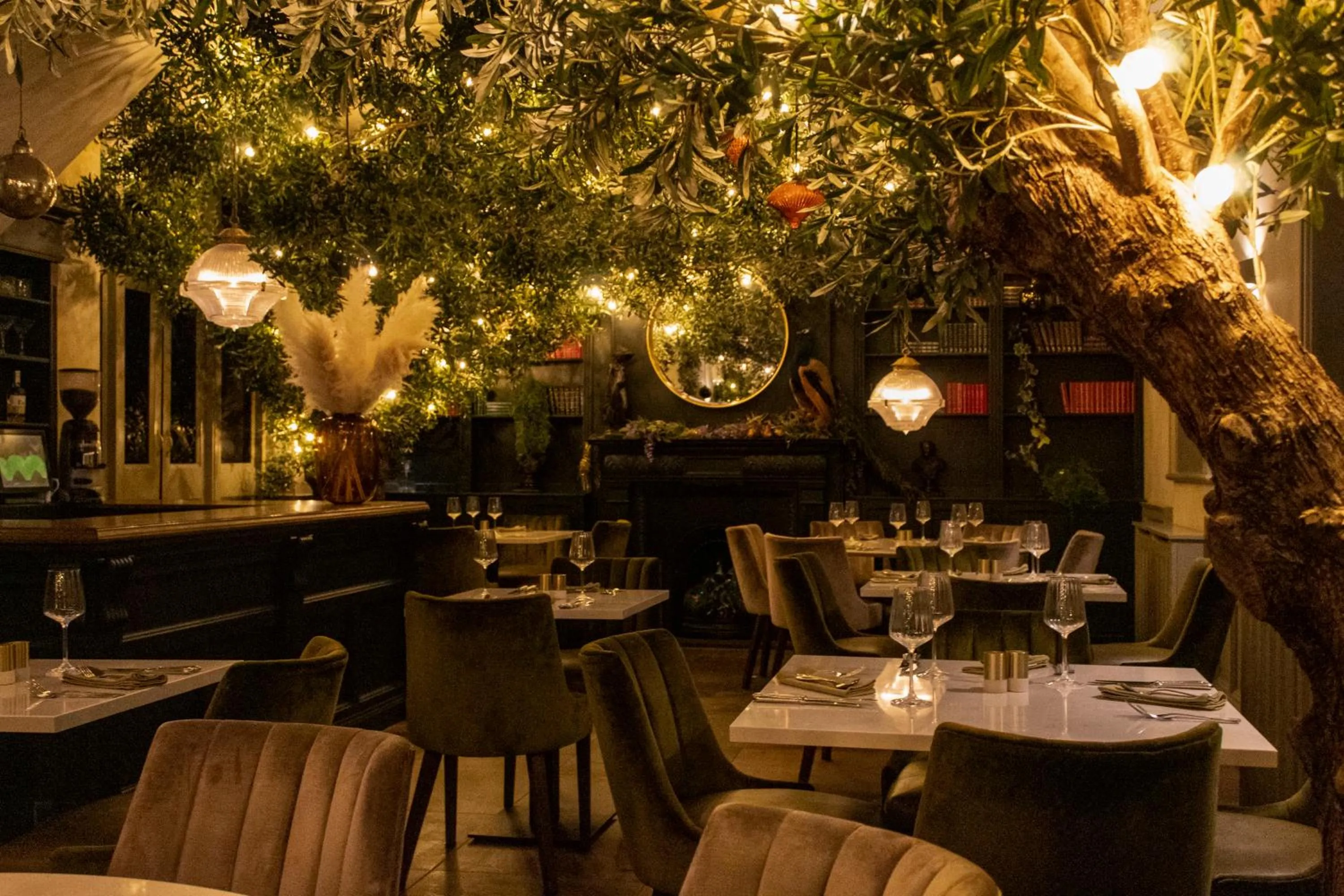 Restaurant/places to eat in J.D.Young