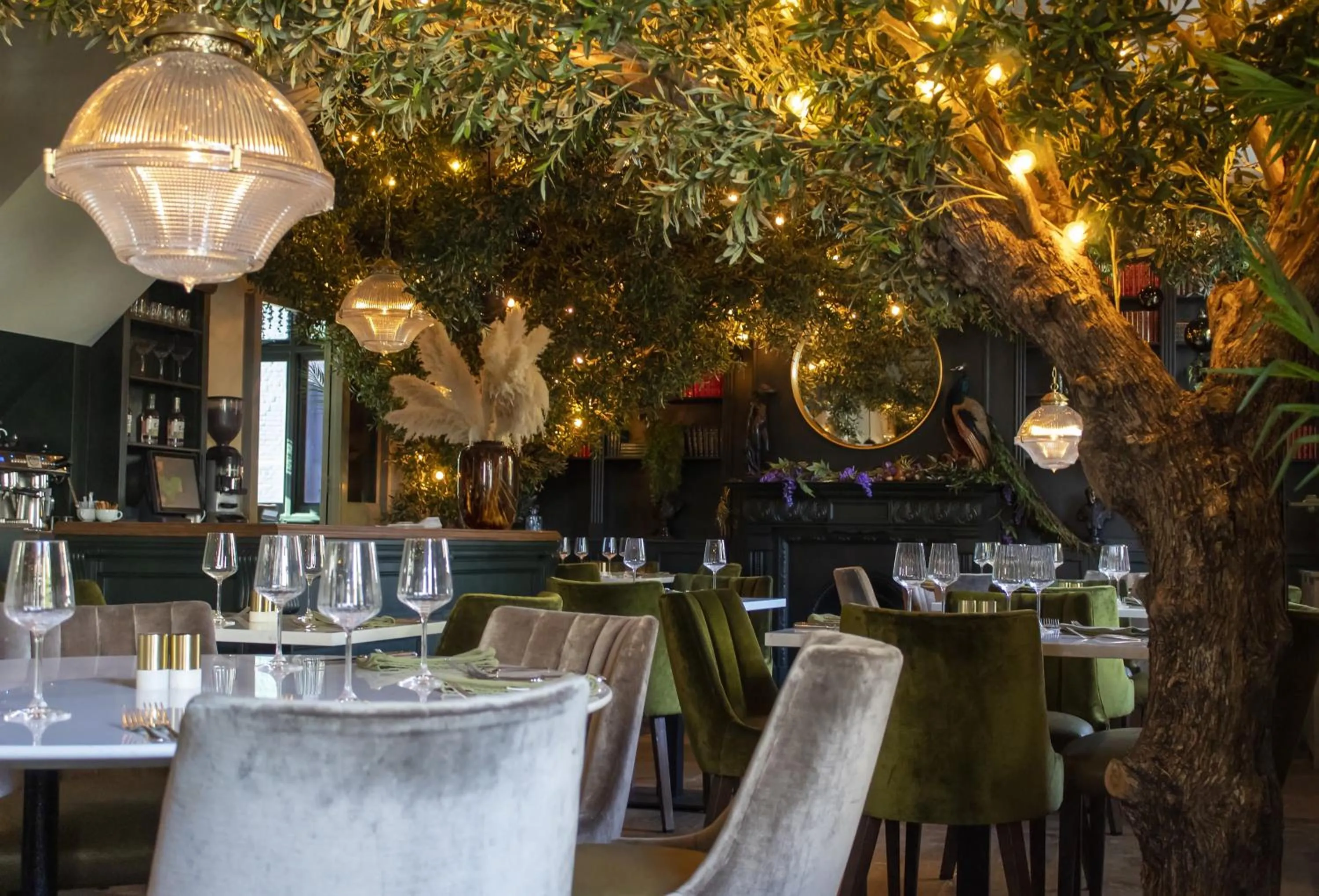 Restaurant/places to eat in J.D.Young