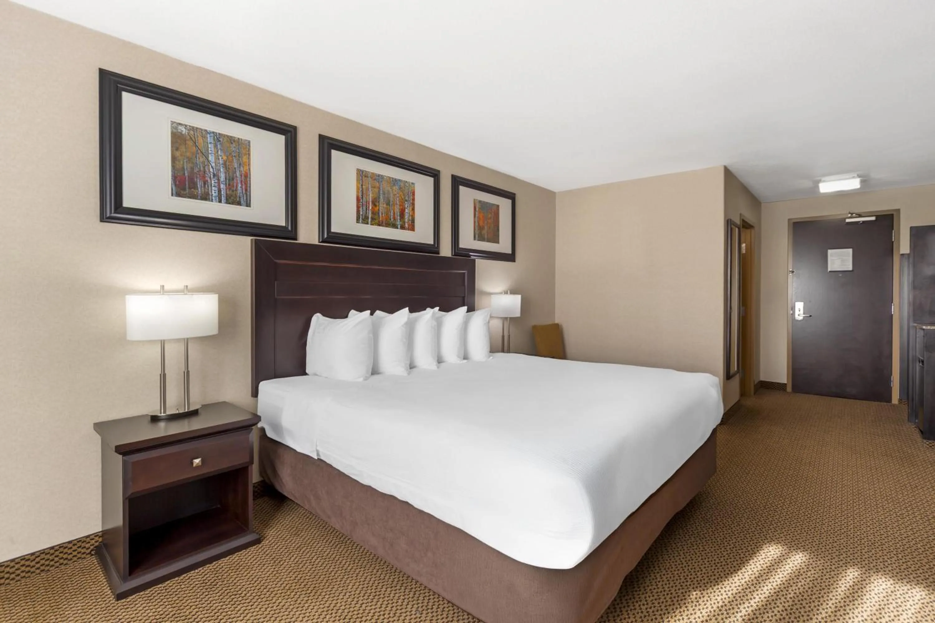 Photo of the whole room, Bed in Best Western Bonnyville Inn & Suites