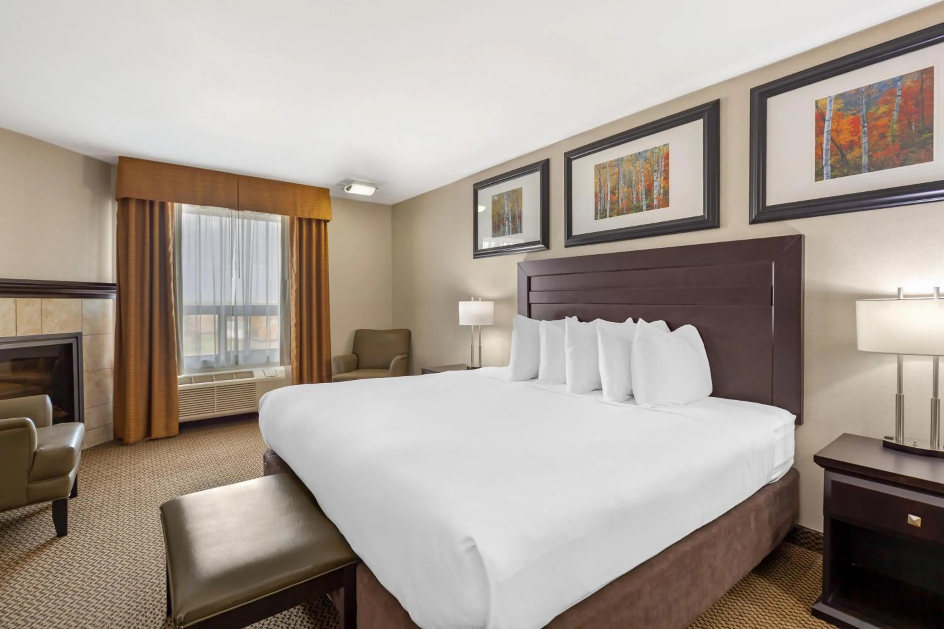 Photo of the whole room, Bed in Best Western Bonnyville Inn & Suites