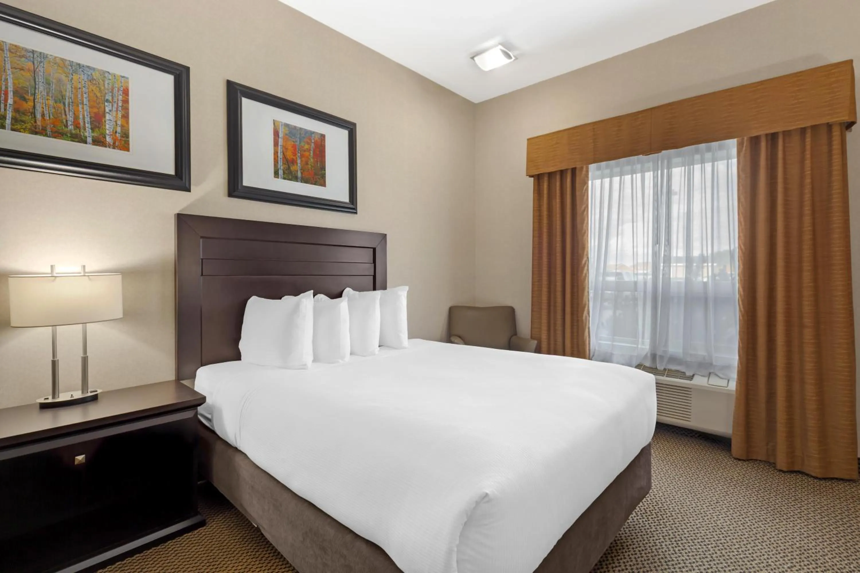 Bedroom, Bed in Best Western Bonnyville Inn & Suites