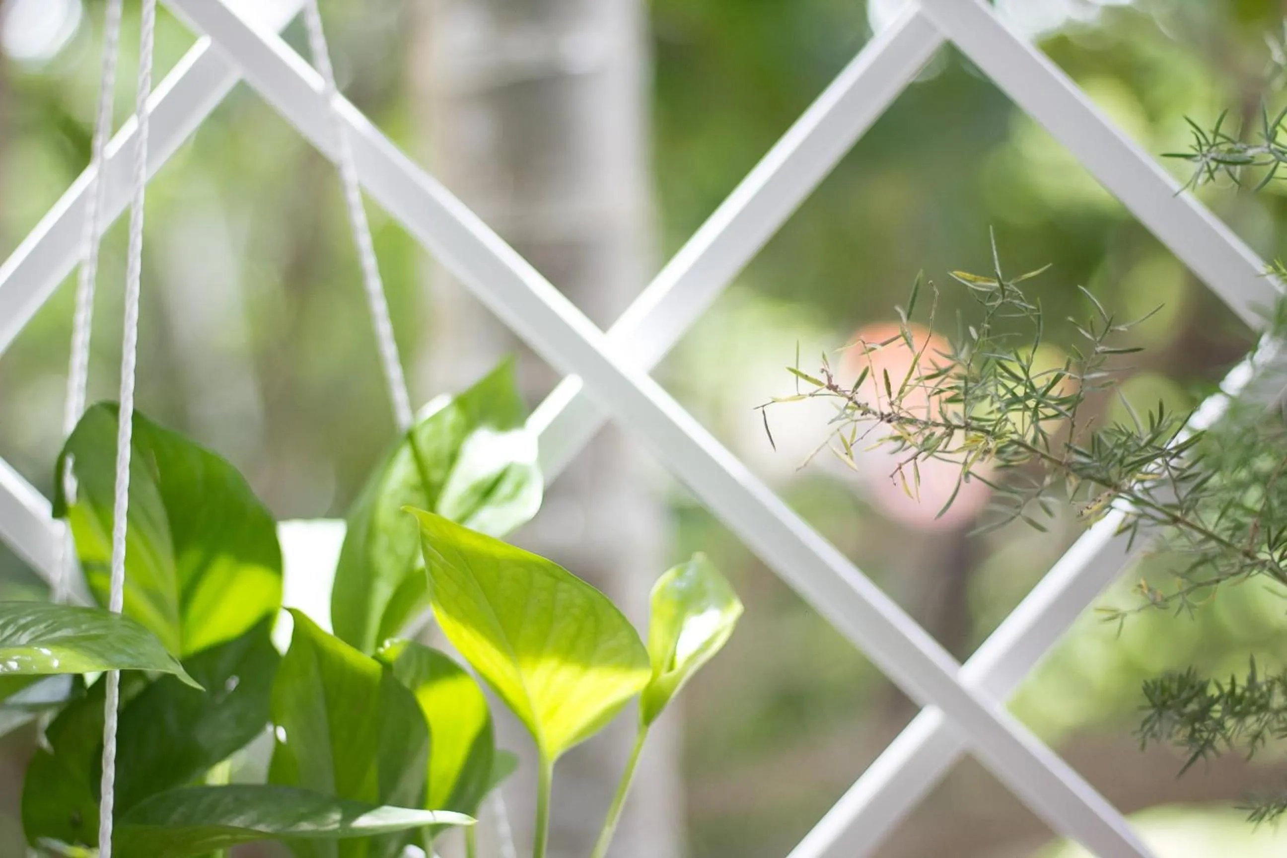 Property building in Bean Grass Homestay