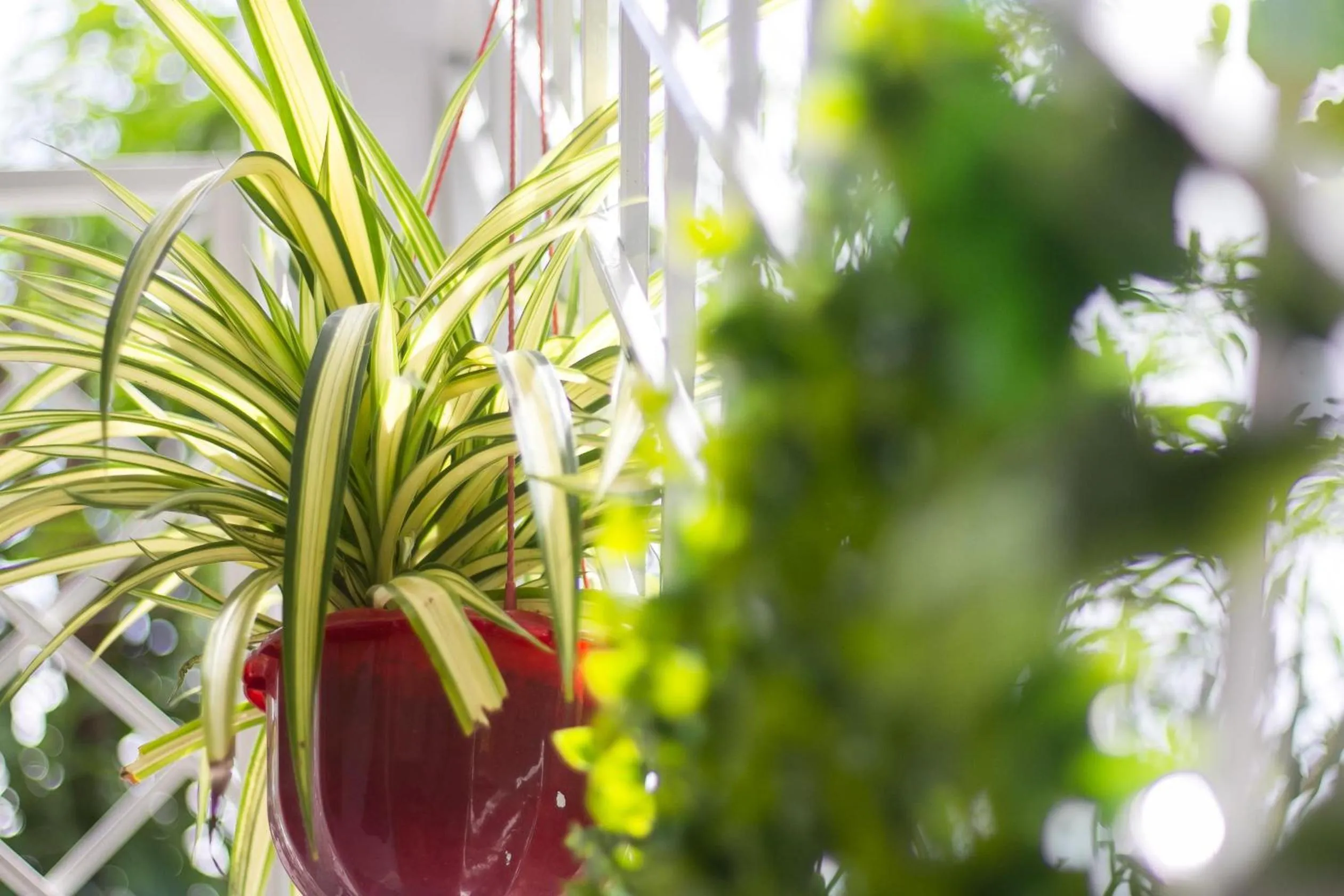 Property building in Bean Grass Homestay