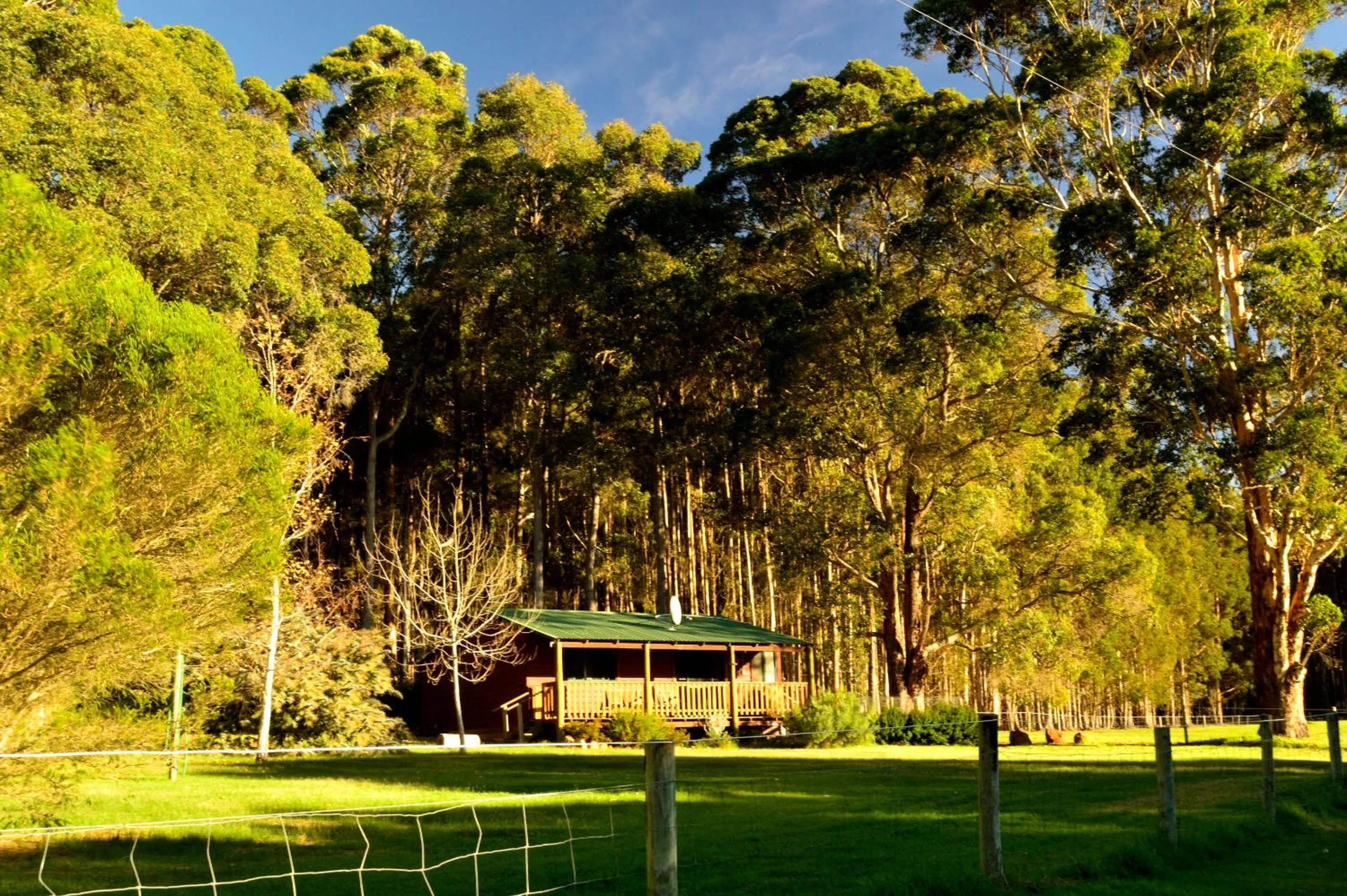 Diamond Forest Farm Stay