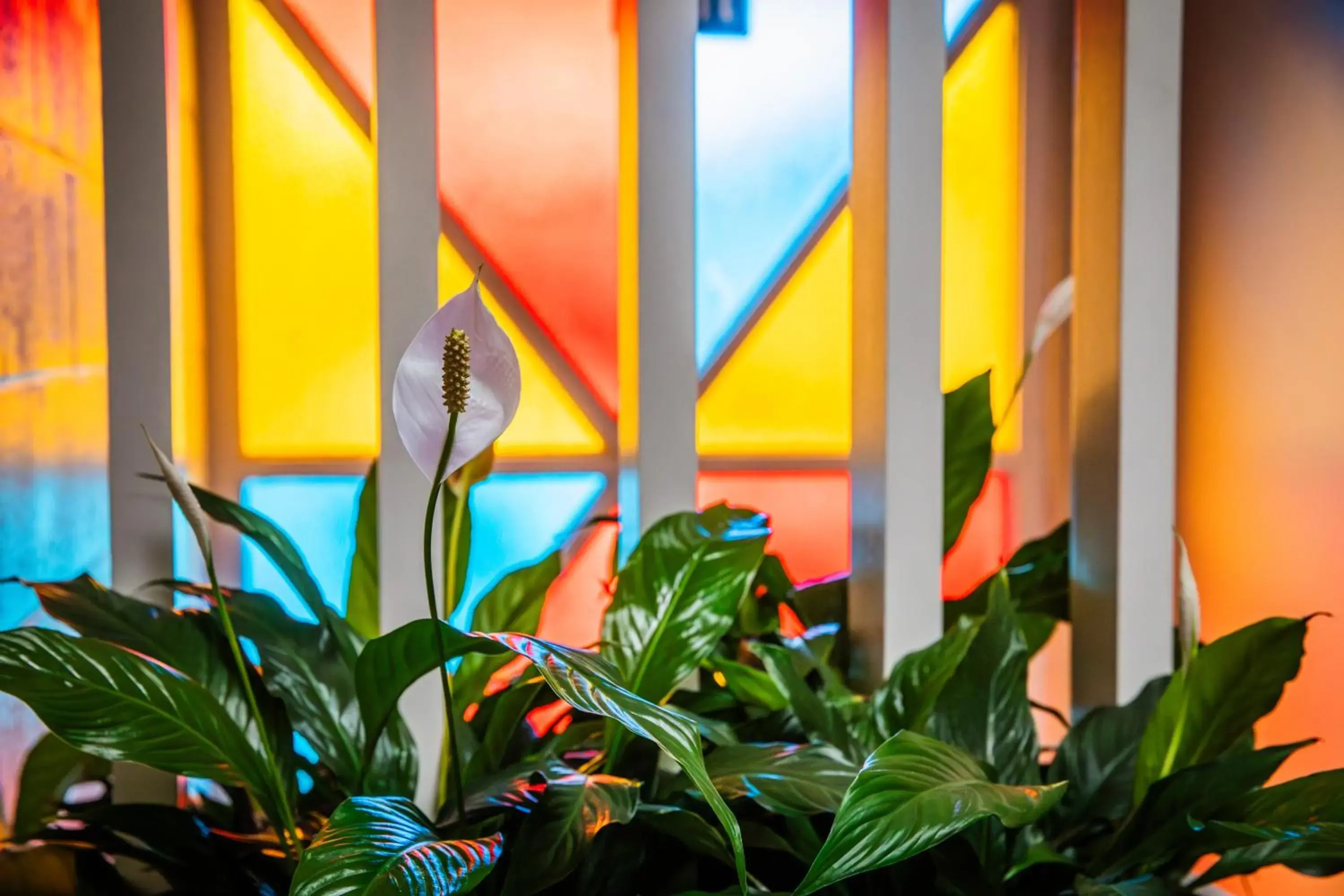 Facade/entrance in Admirals Motor Inn Facade/entrance in Admirals Motor Inn