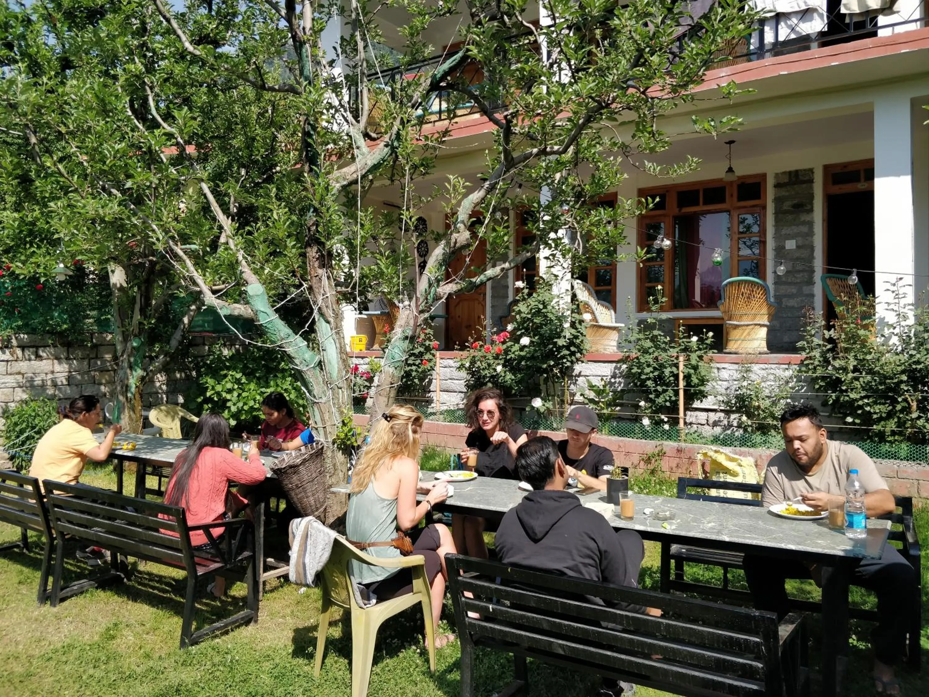 Breakfast in Madpackers Manali