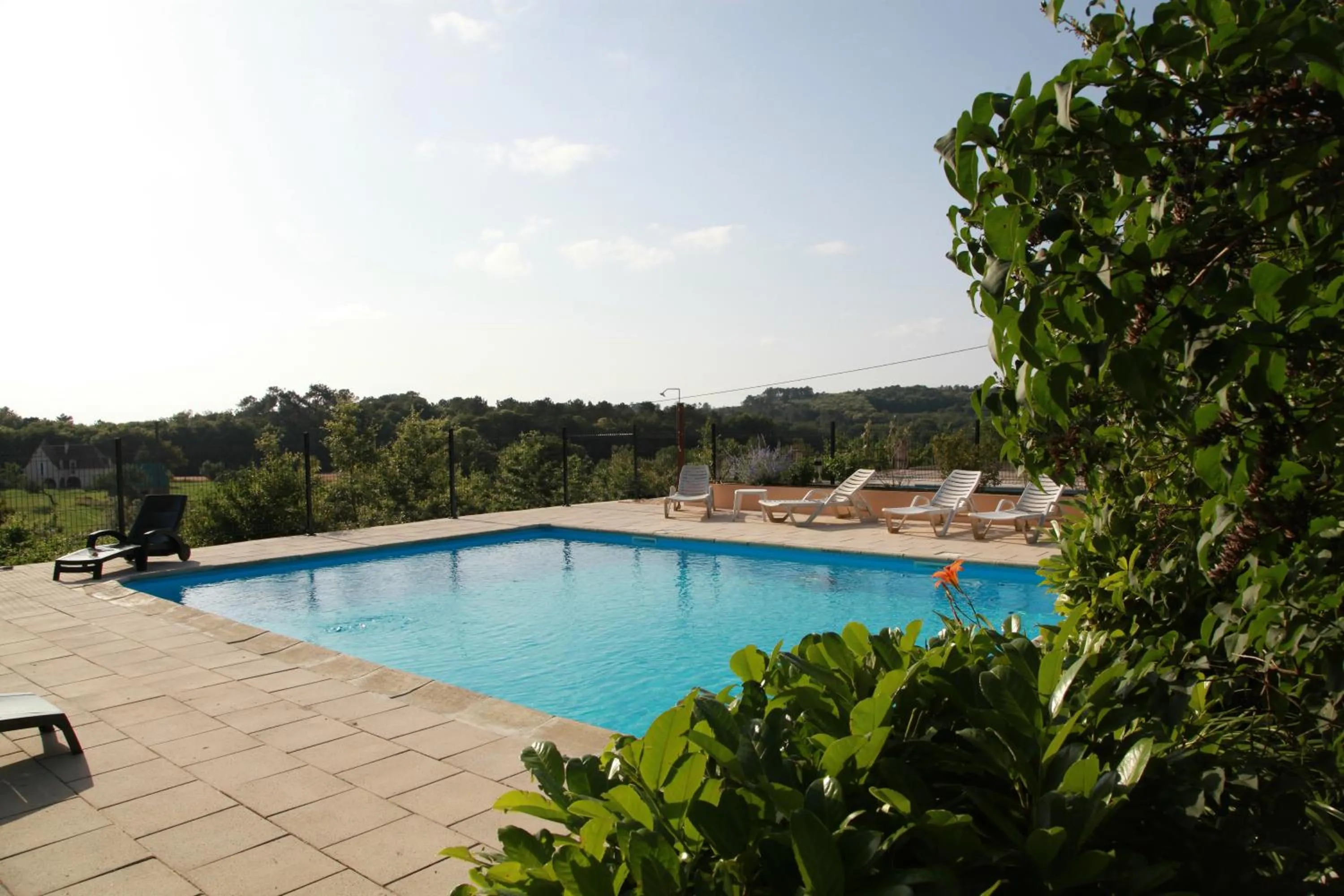 Swimming pool in Logis Hôtel Restaurant La Borie