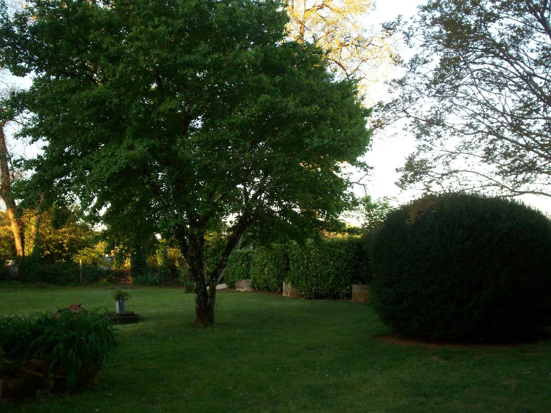 Garden in Logis Hôtel Restaurant La Borie