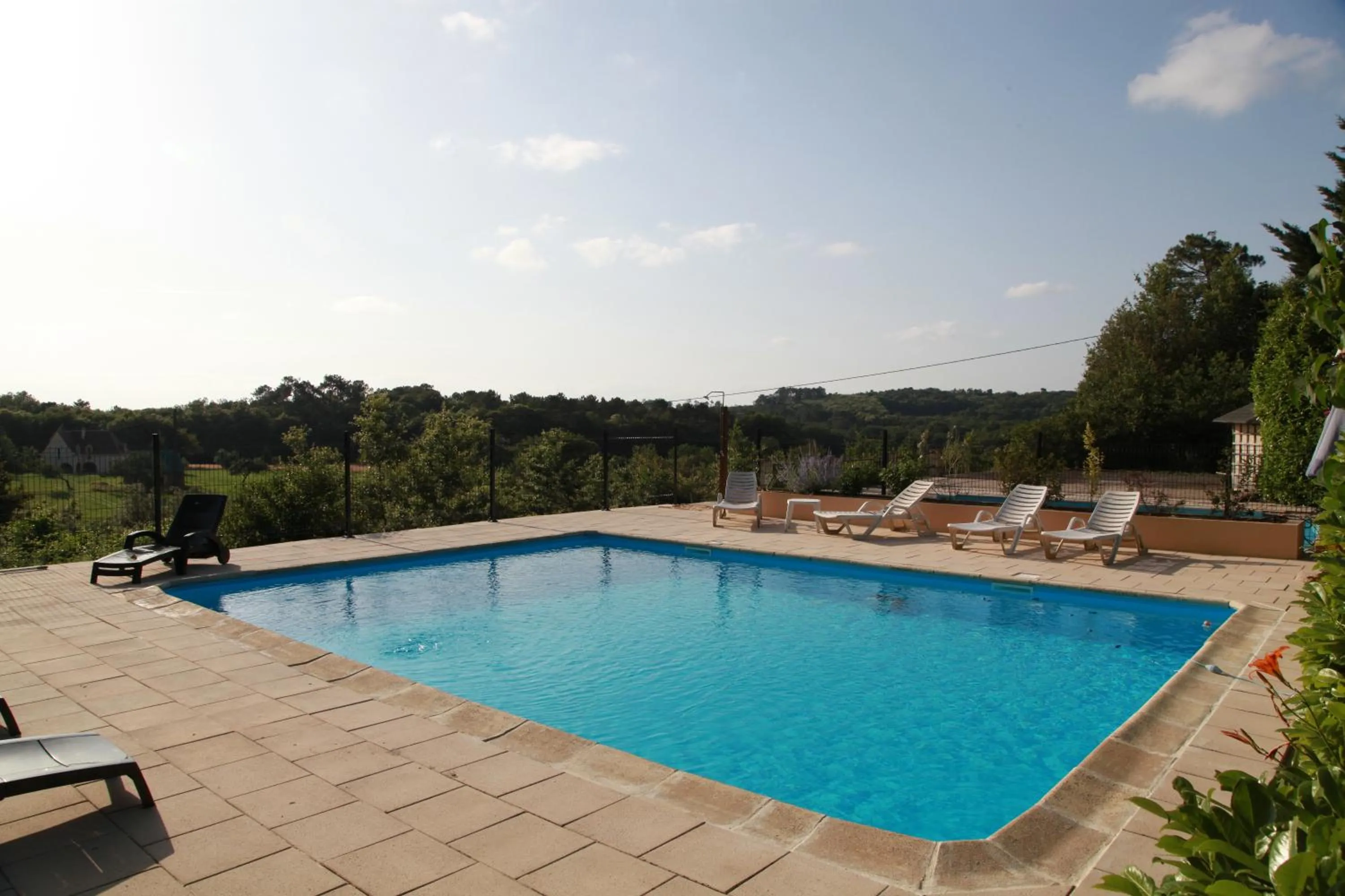 Swimming pool in Logis Hôtel Restaurant La Borie