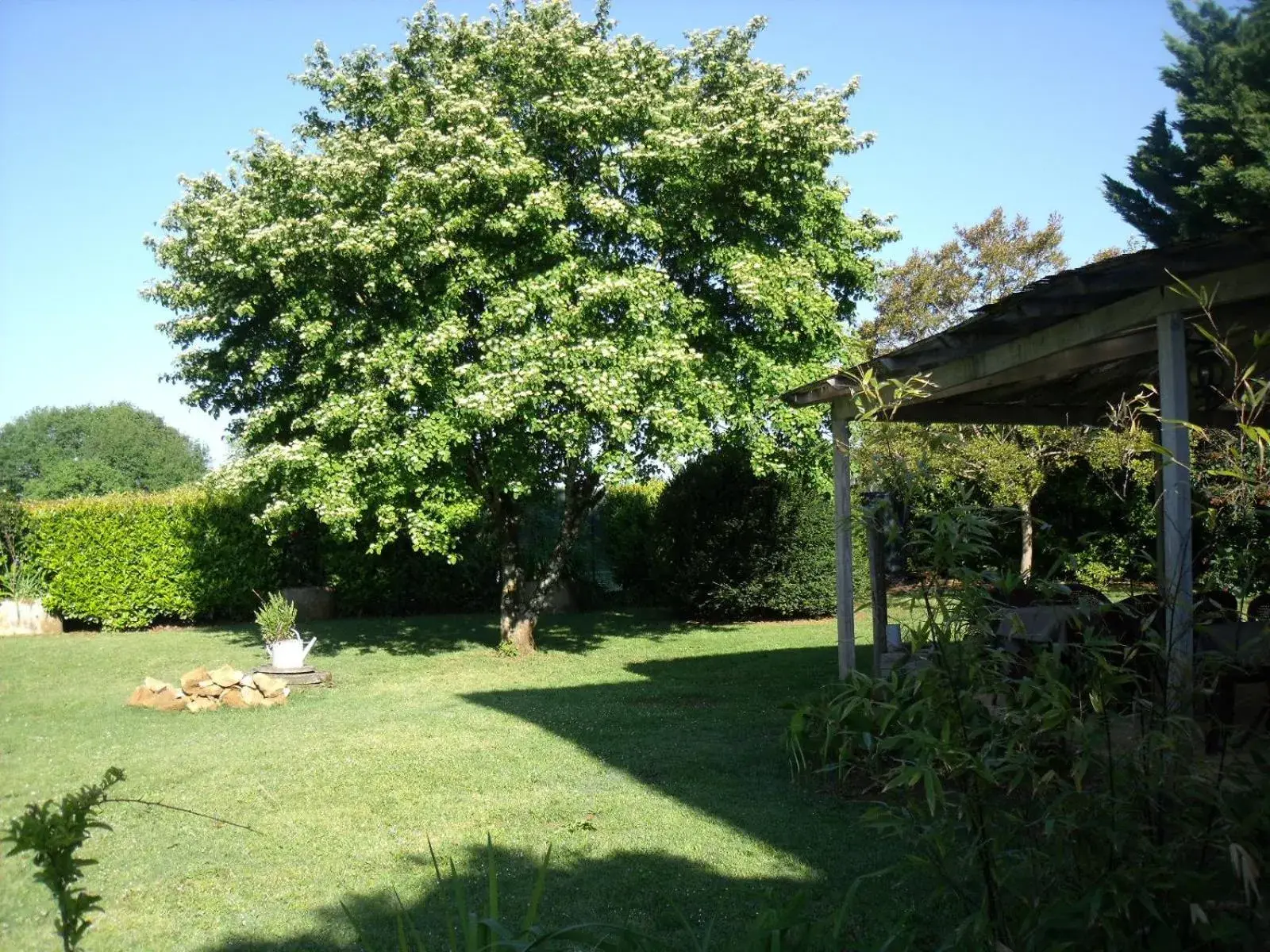 Garden in Logis Hôtel Restaurant La Borie Garden in Logis Hôtel Restaurant La Borie