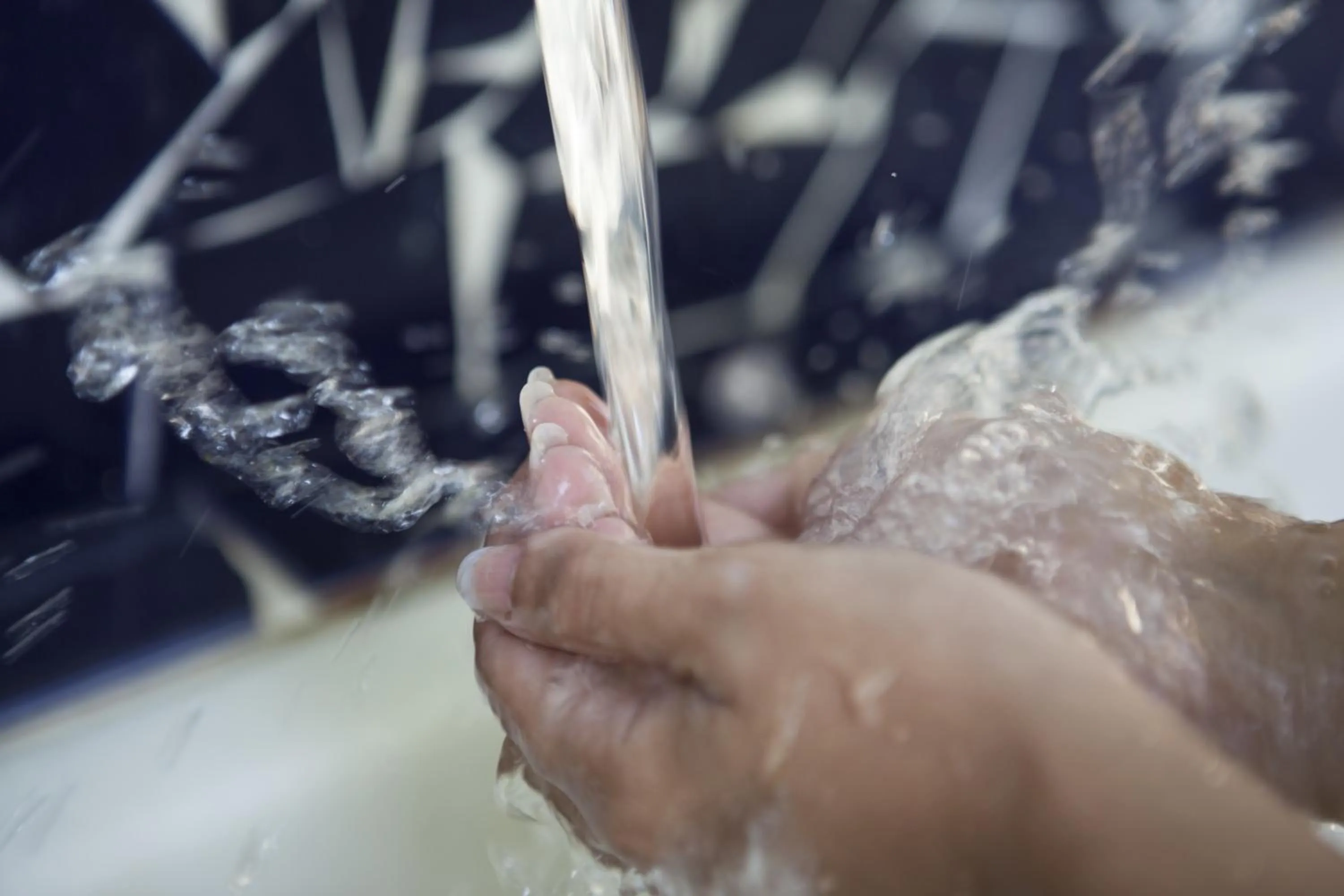 Garden in Hotel Balneario de la Concepción