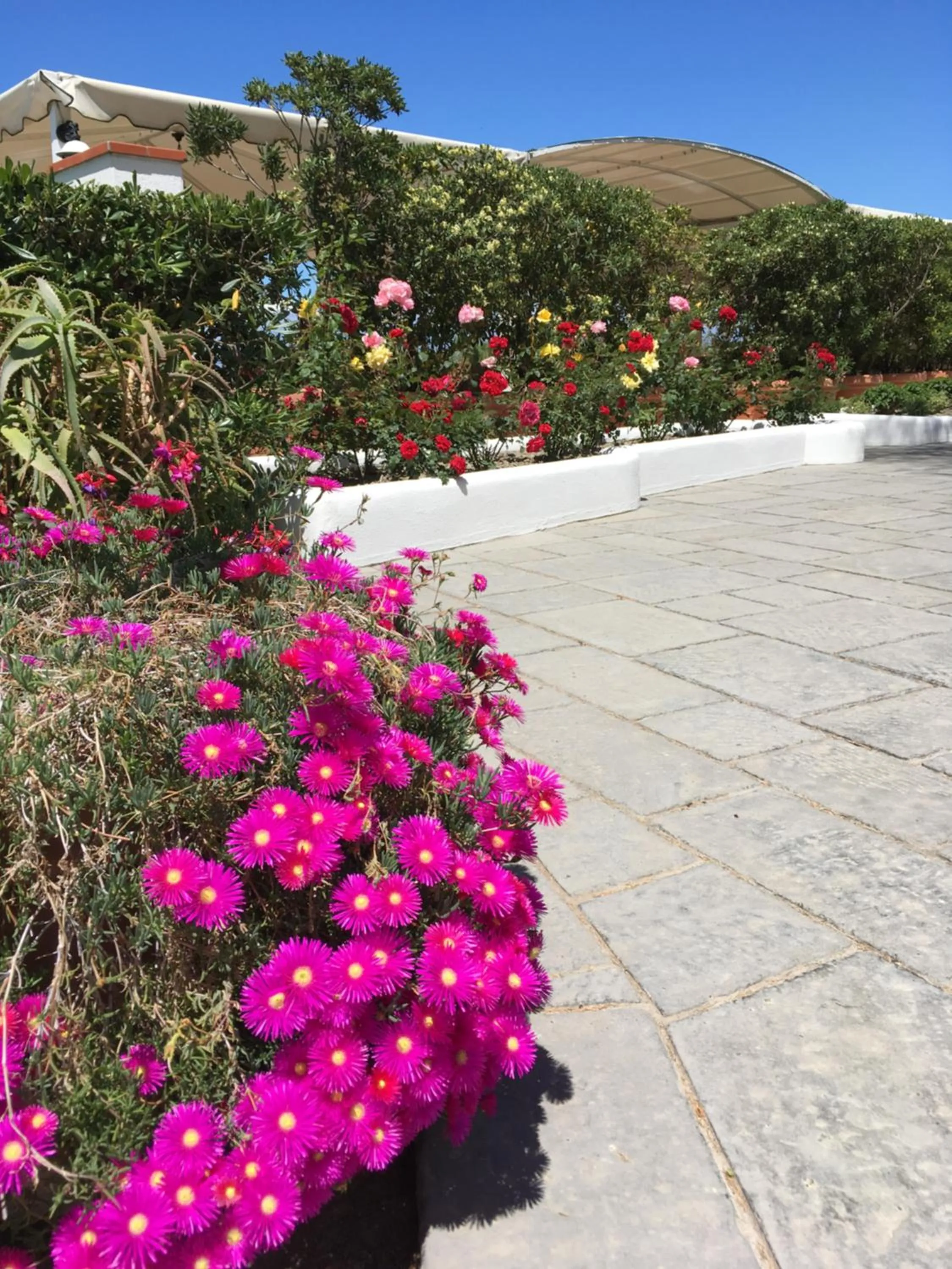 Garden in Poggio Aragosta Hotel & Spa