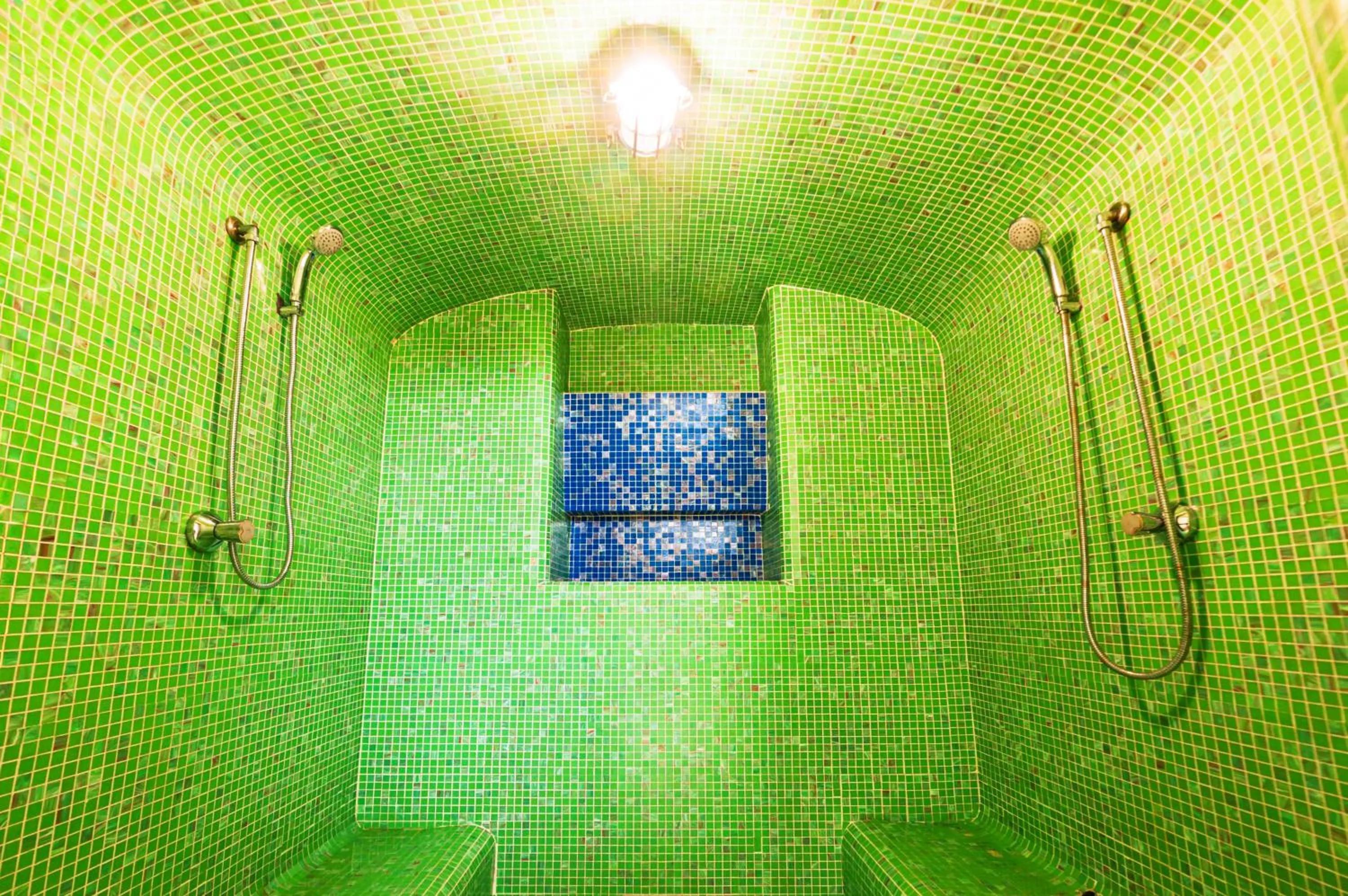 Steam room in Poggio Aragosta Hotel & Spa