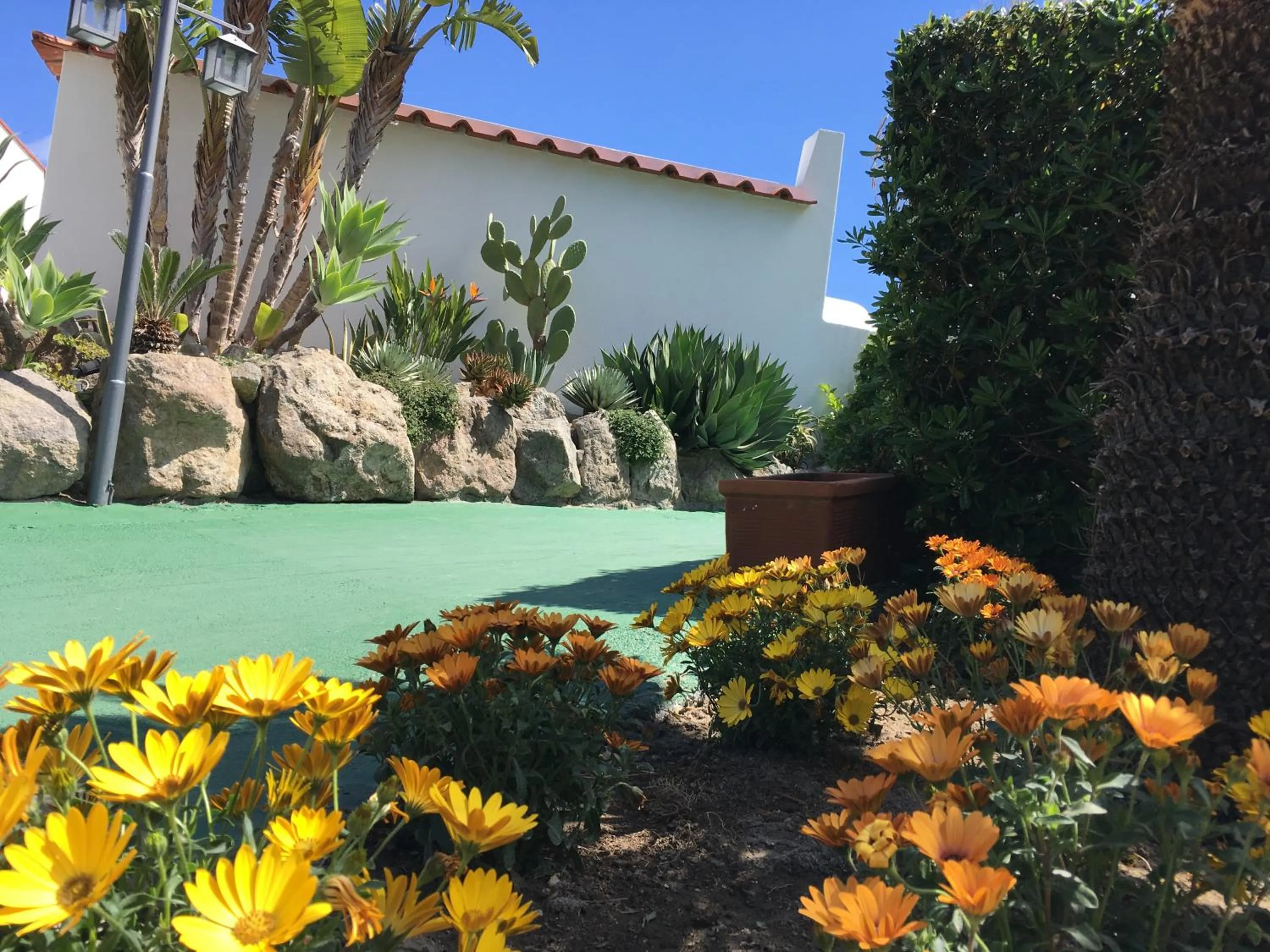 Garden in Poggio Aragosta Hotel & Spa