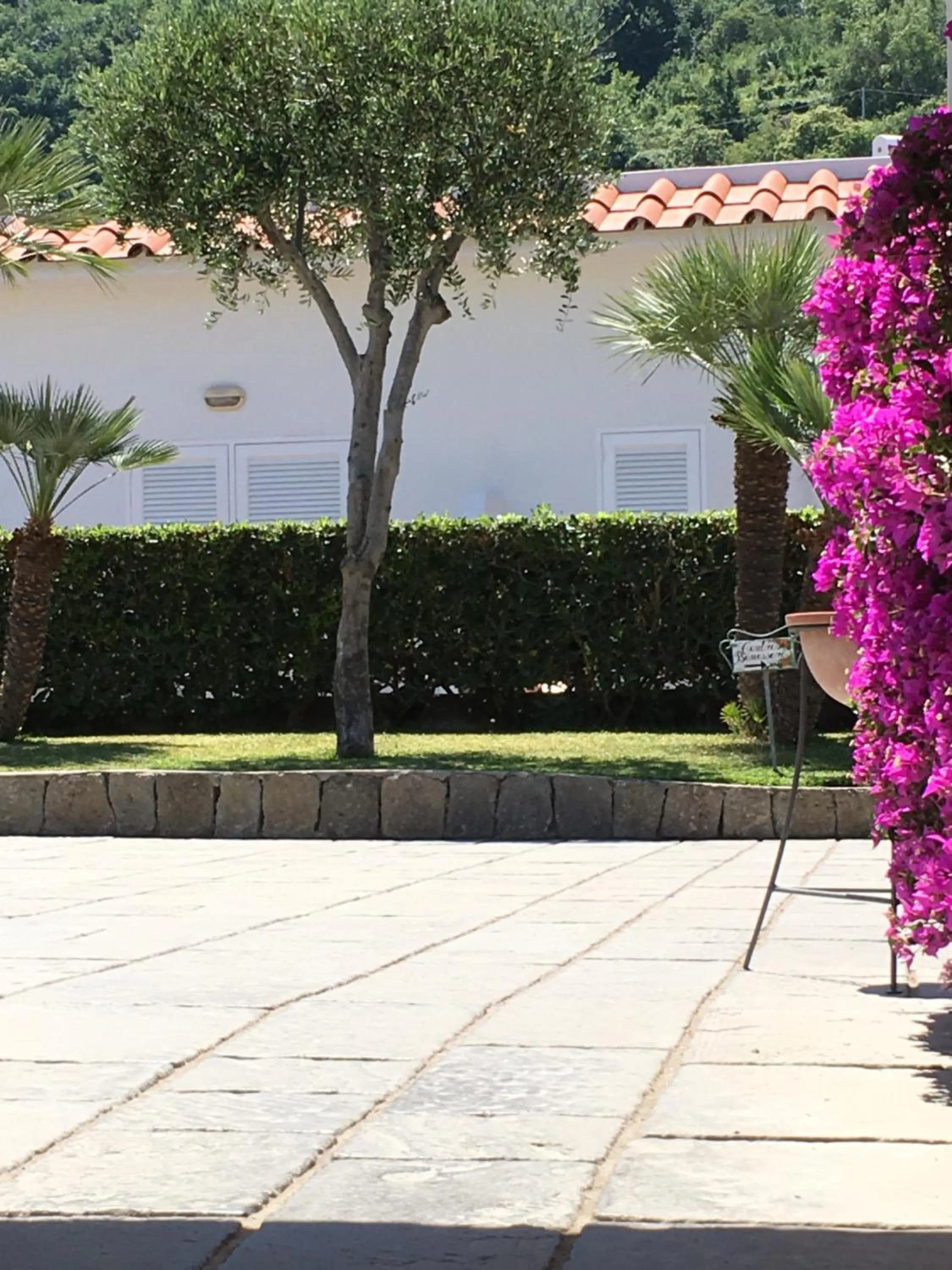 Garden in Poggio Aragosta Hotel & Spa