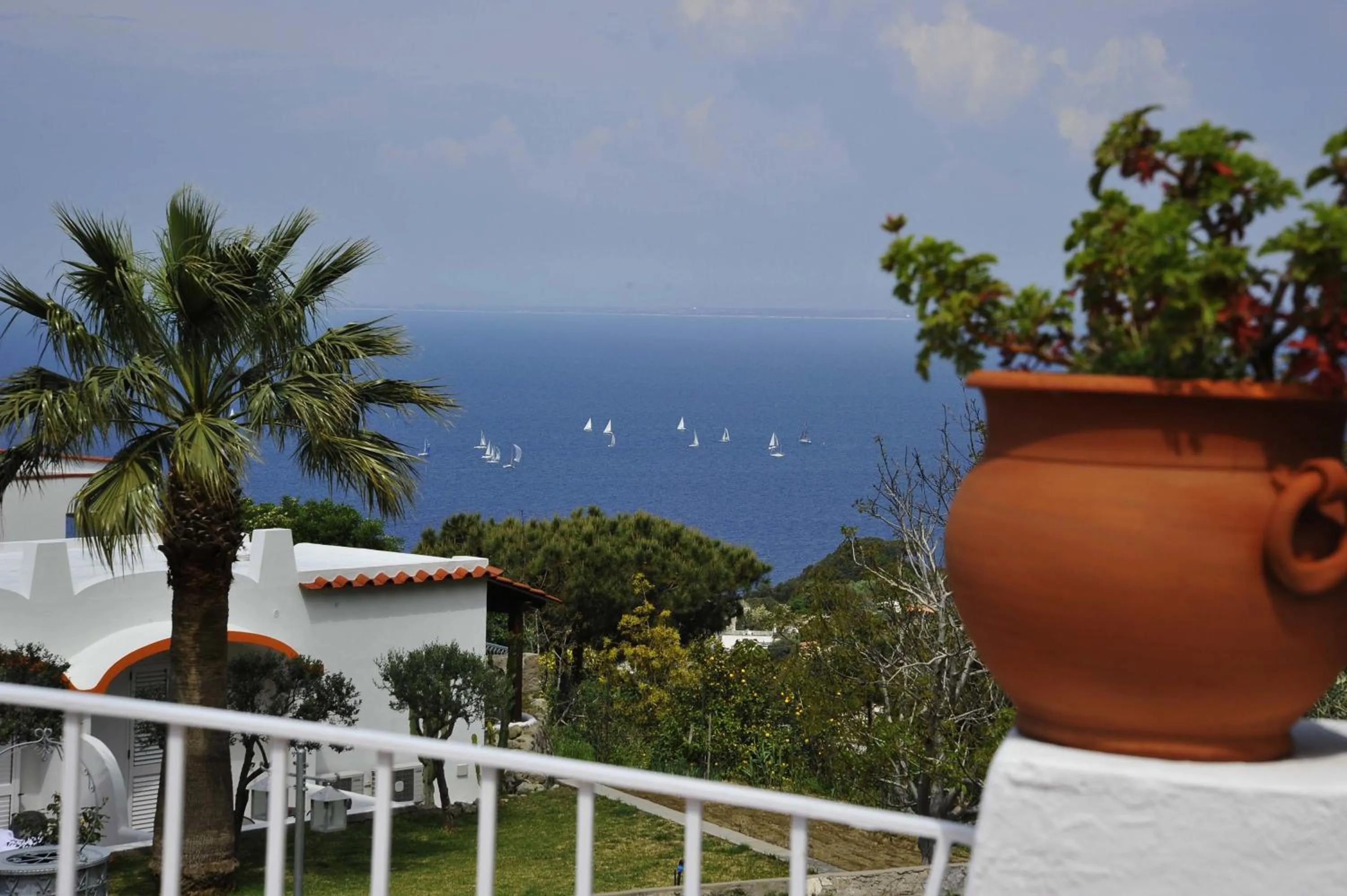 View (from property/room) in Poggio Aragosta Hotel & Spa