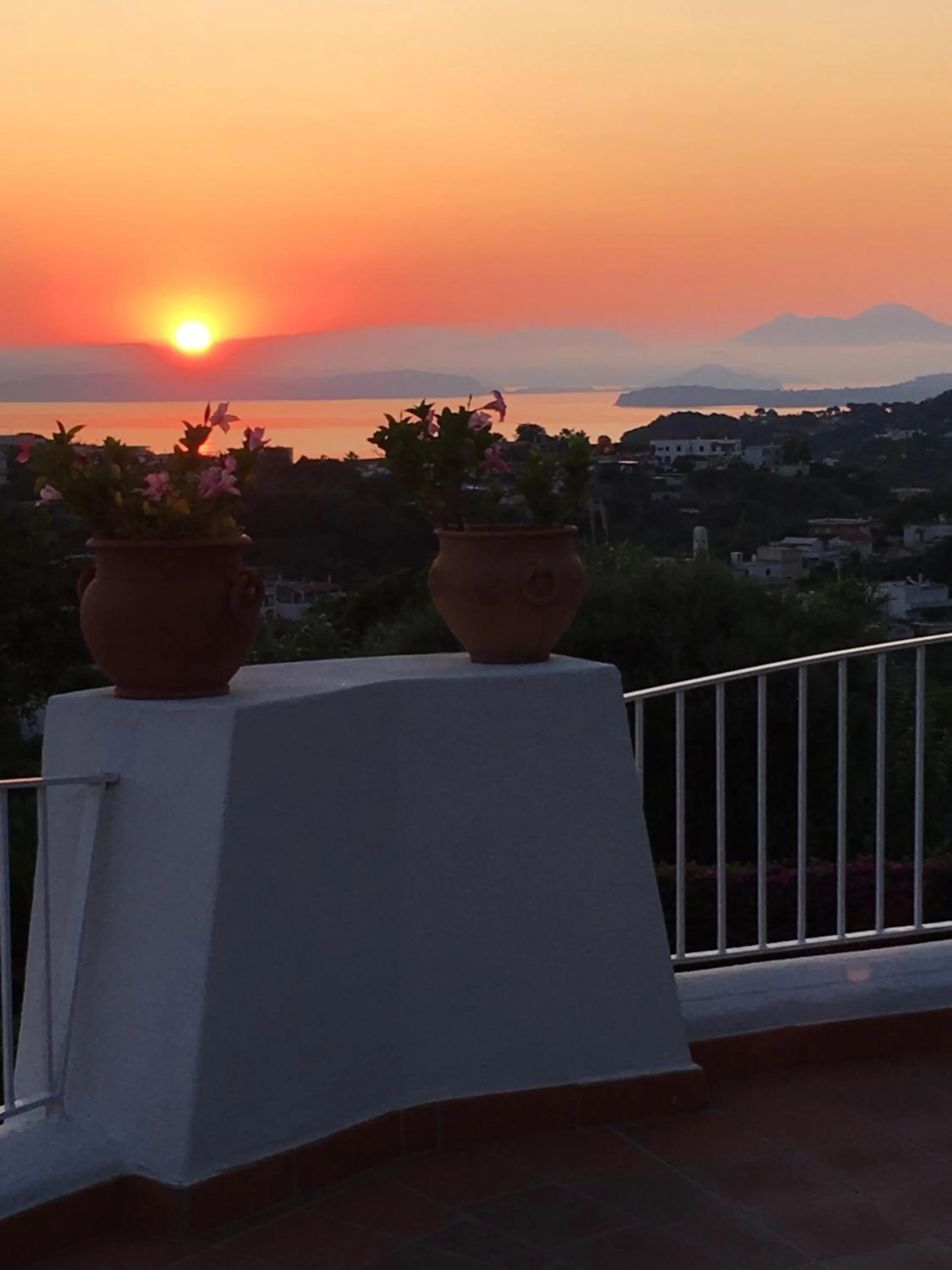 Natural landscape in Poggio Aragosta Hotel & Spa