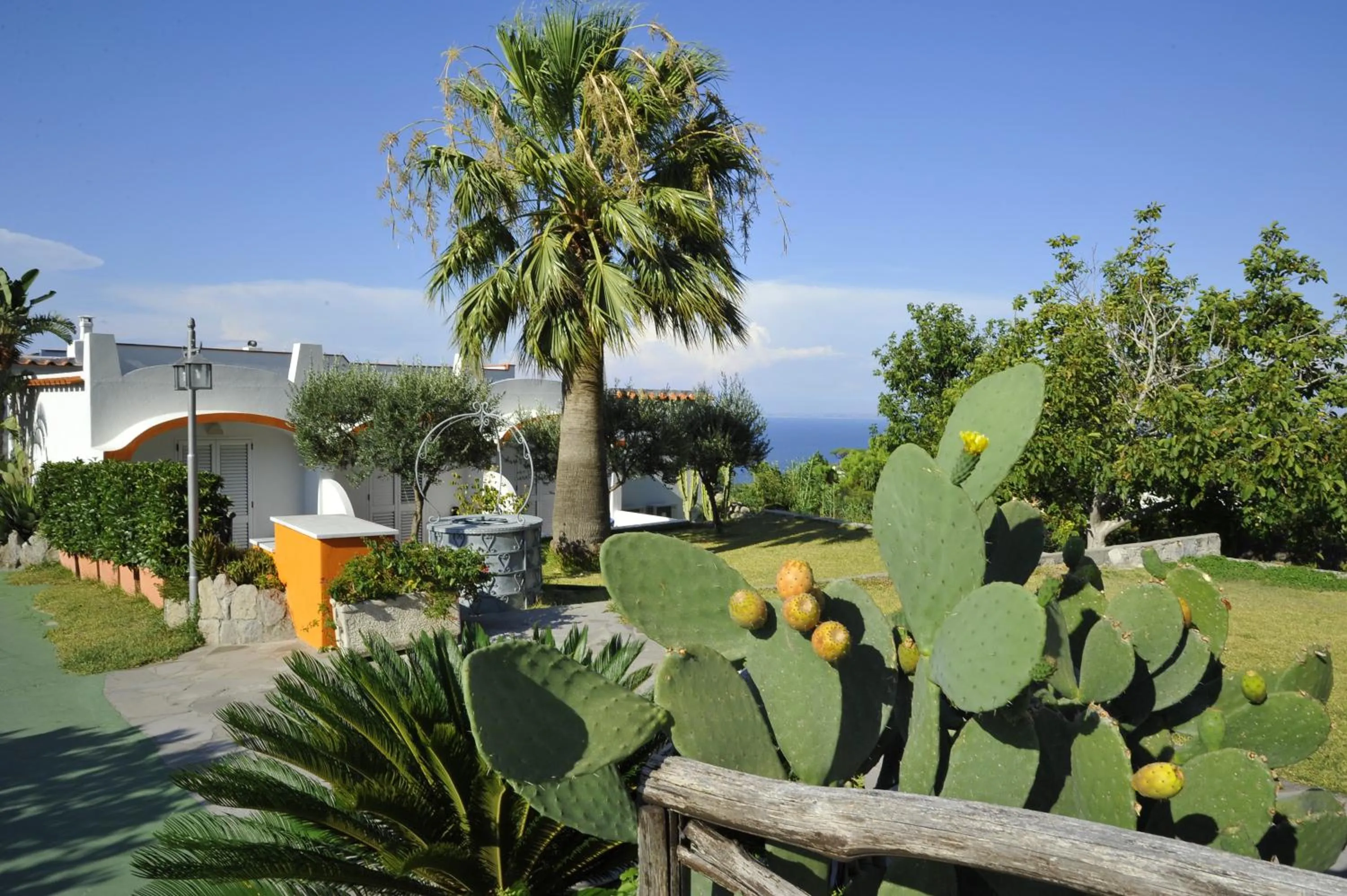 Garden in Poggio Aragosta Hotel & Spa