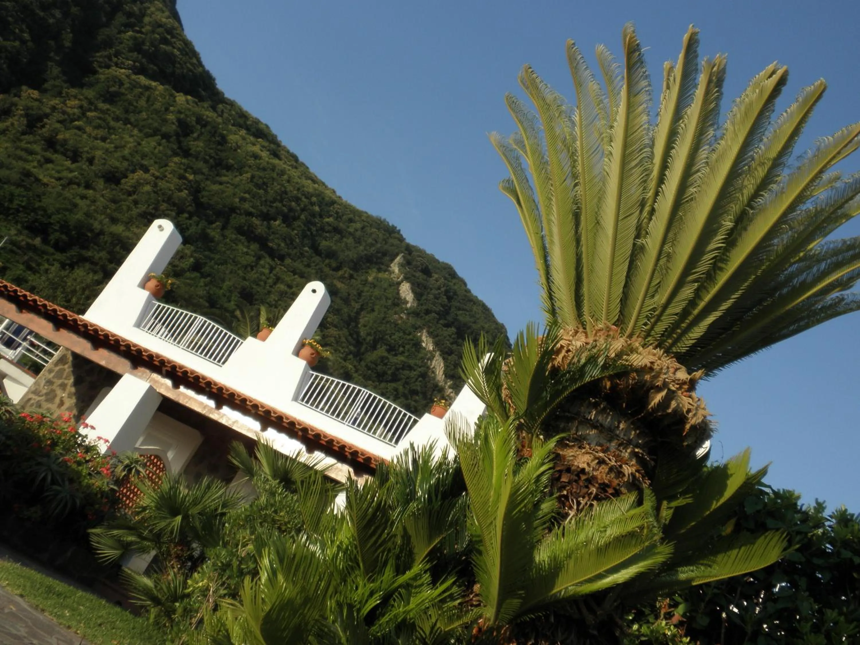 Garden in Poggio Aragosta Hotel & Spa