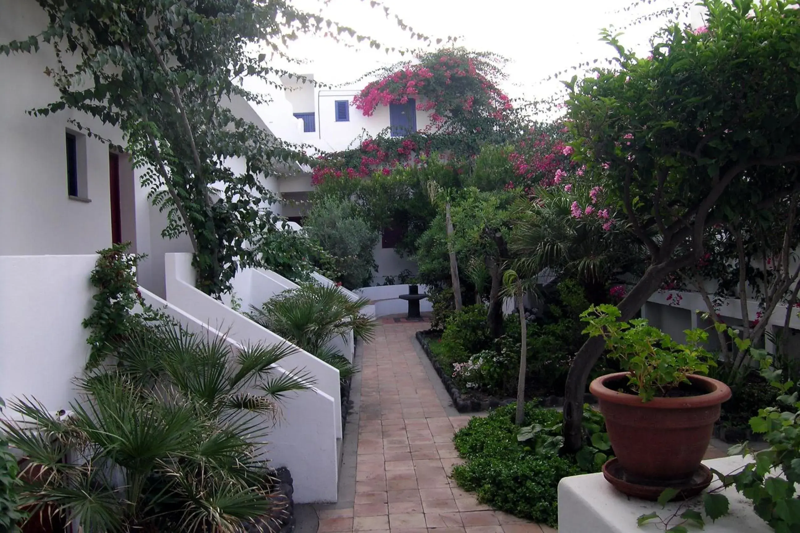 Garden in La Sirenetta Park Hotel