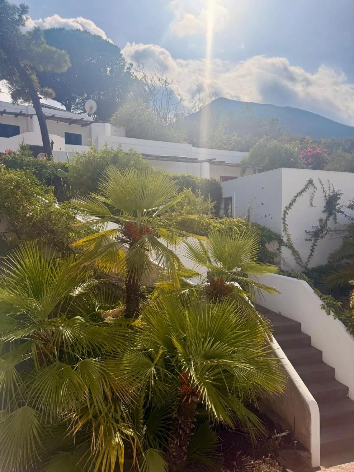 Garden in La Sirenetta Park Hotel
