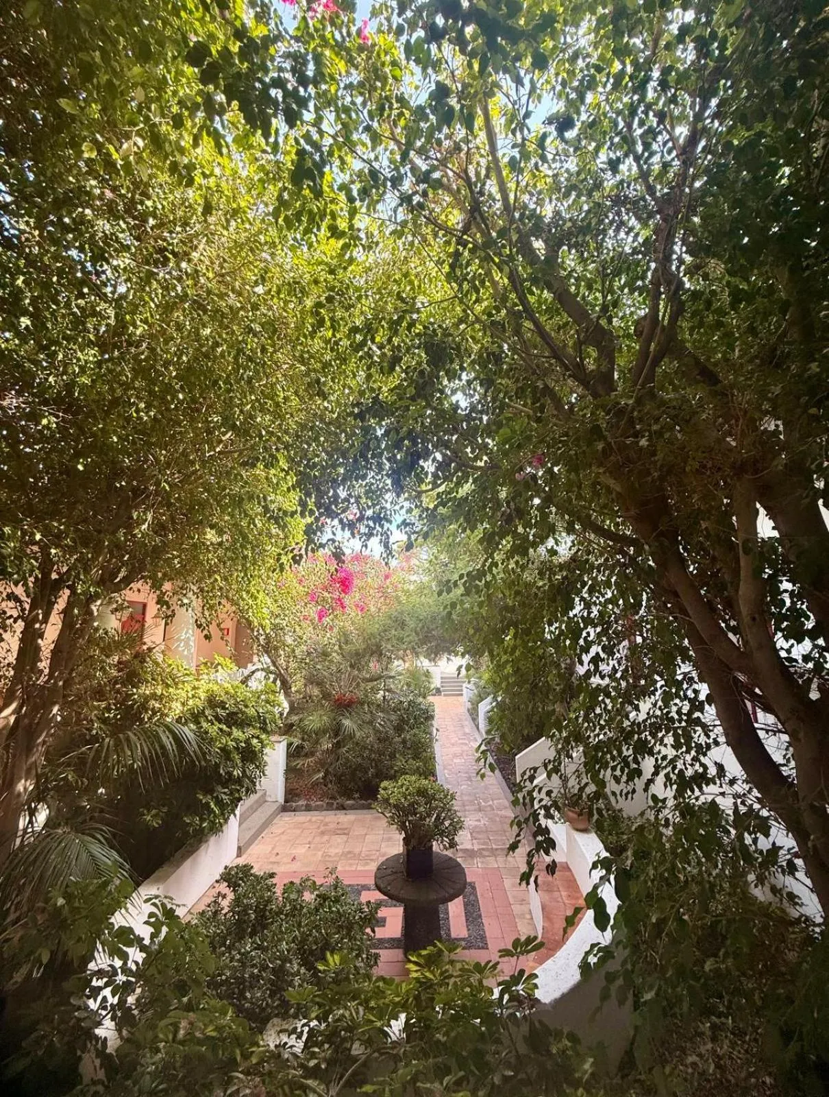 Garden in La Sirenetta Park Hotel