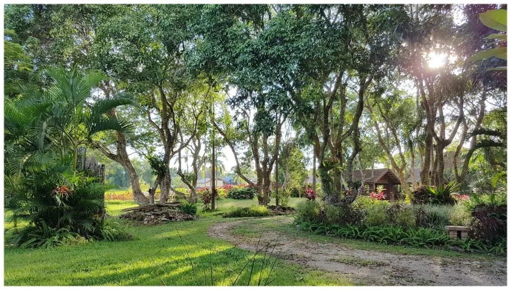 Garden in Baan Sakuna Hotel