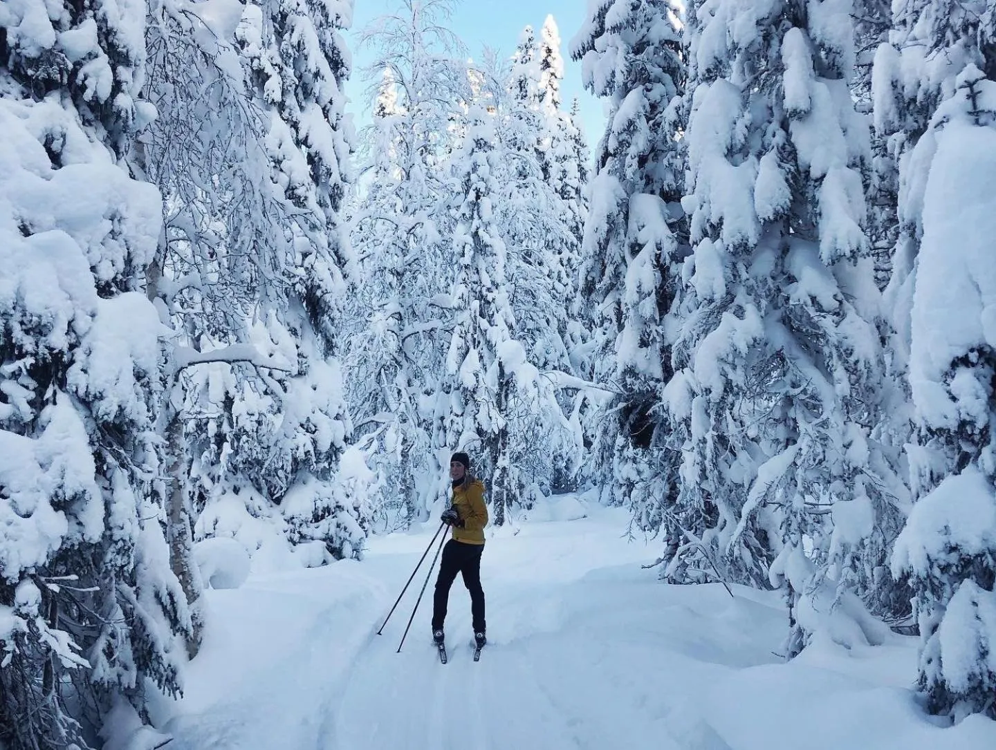 Activities in Hotell Åre Fjällsätra