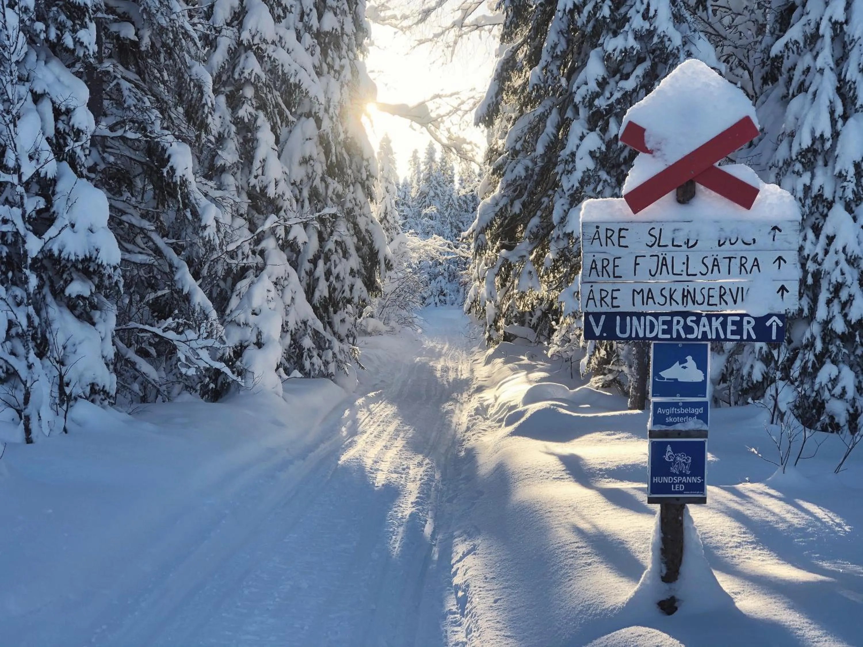 Activities in Hotell Åre Fjällsätra