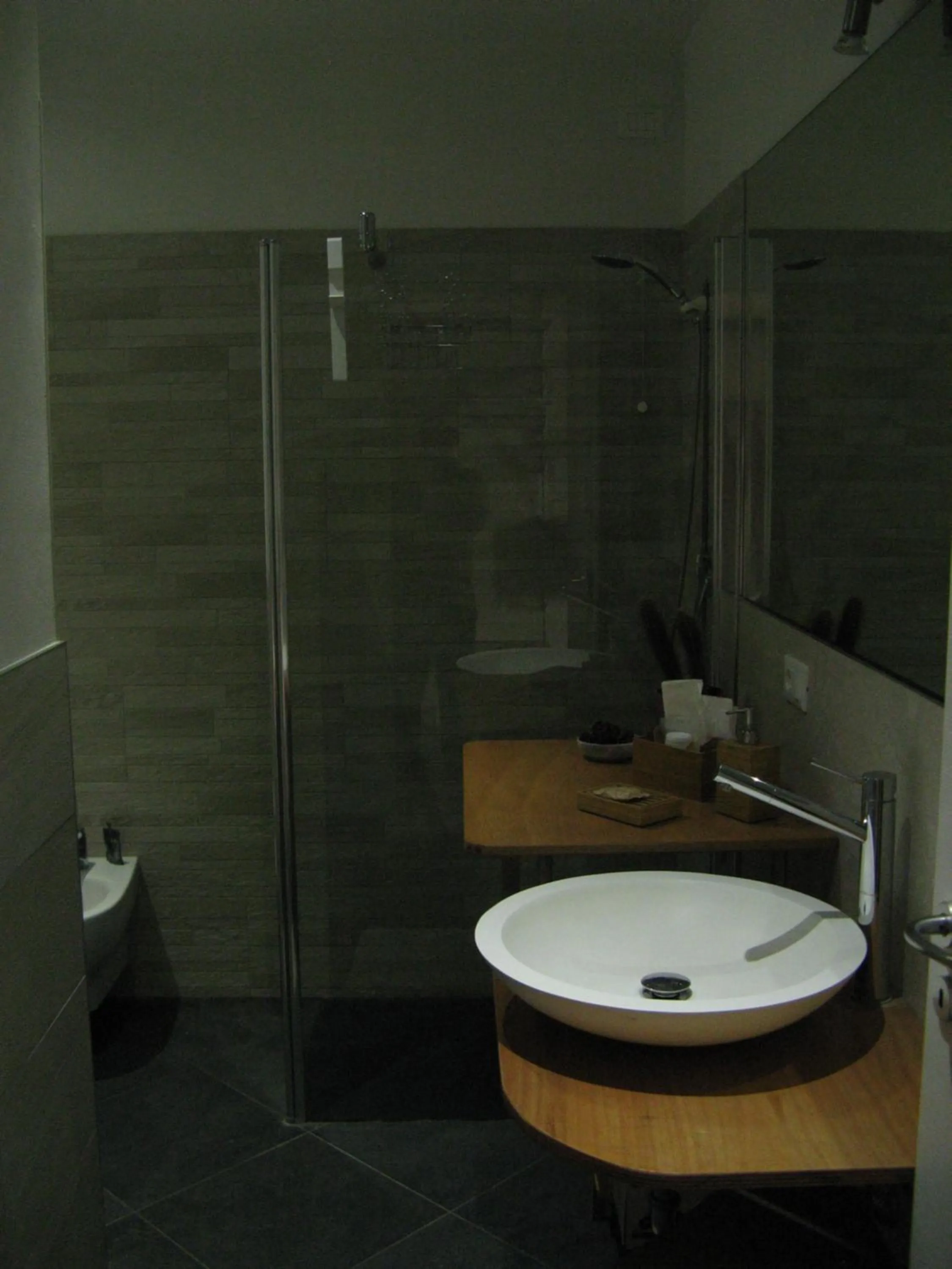 Shower in Venice Home