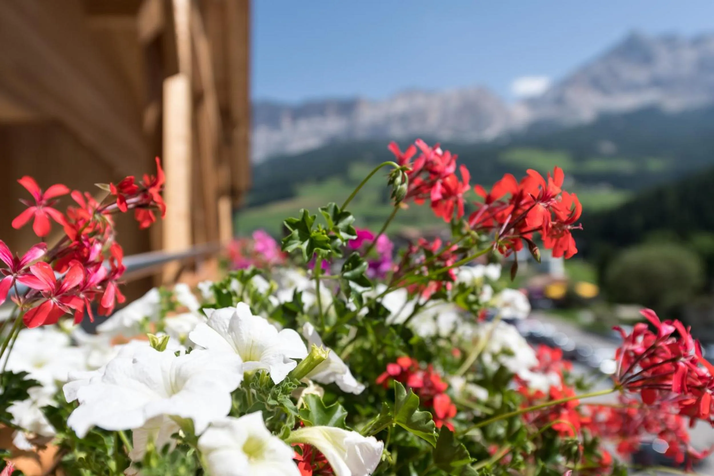 Mountain view in Wellness Hotel Gran Risa***S