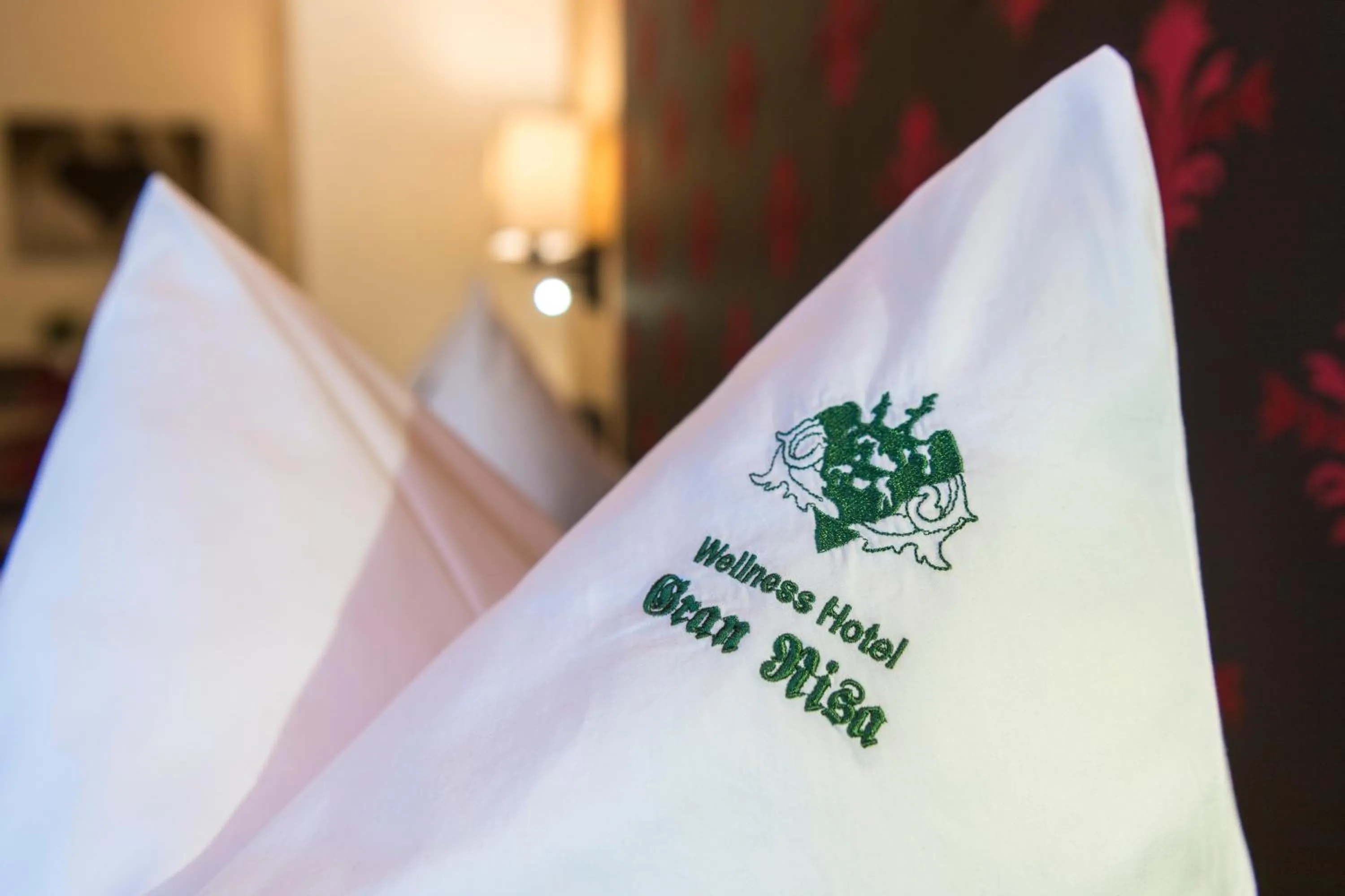 Bed in Wellness Hotel Gran Risa***S