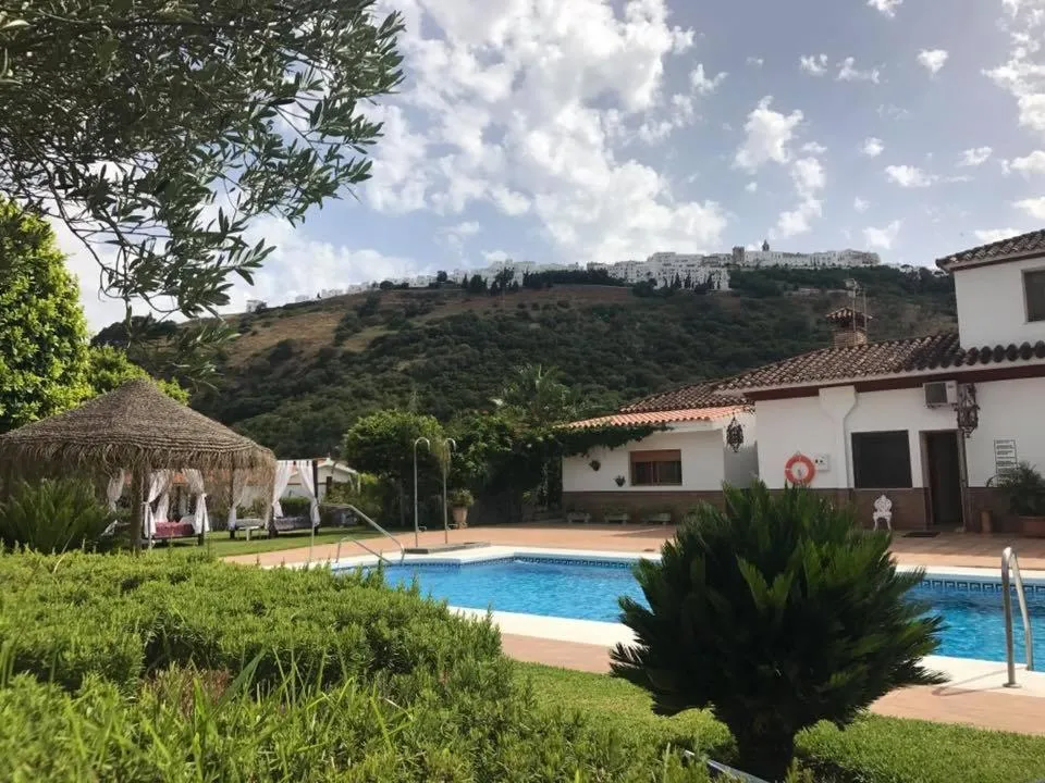 Garden in Hotel El Paso