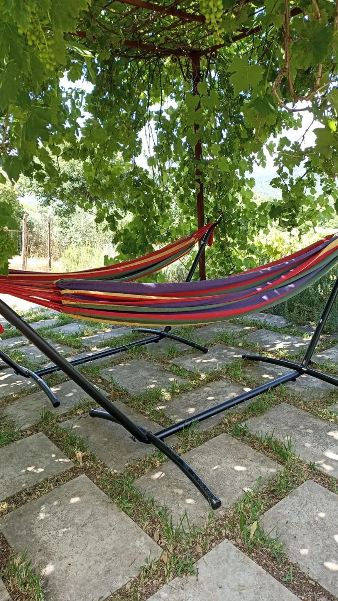 Swimming pool in B&B Lavanda e Rosmarino
