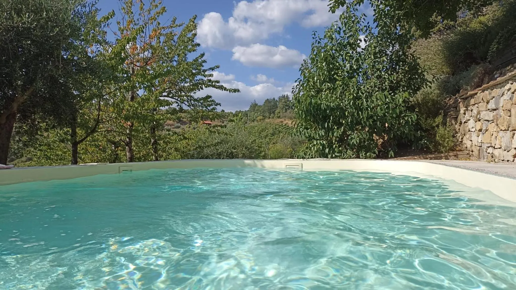 Swimming pool in B&B Lavanda e Rosmarino