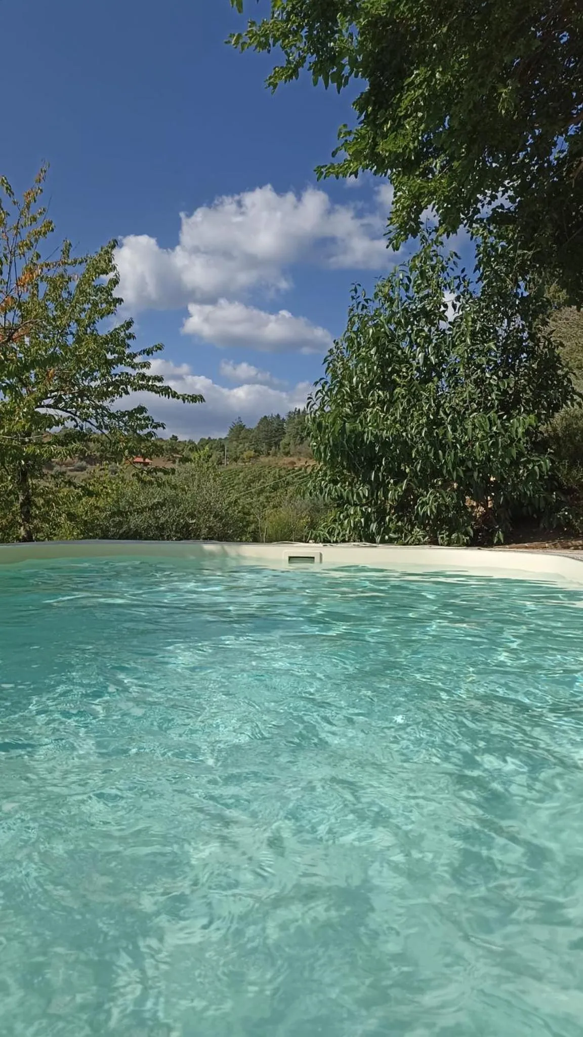 Swimming pool in B&B Lavanda e Rosmarino