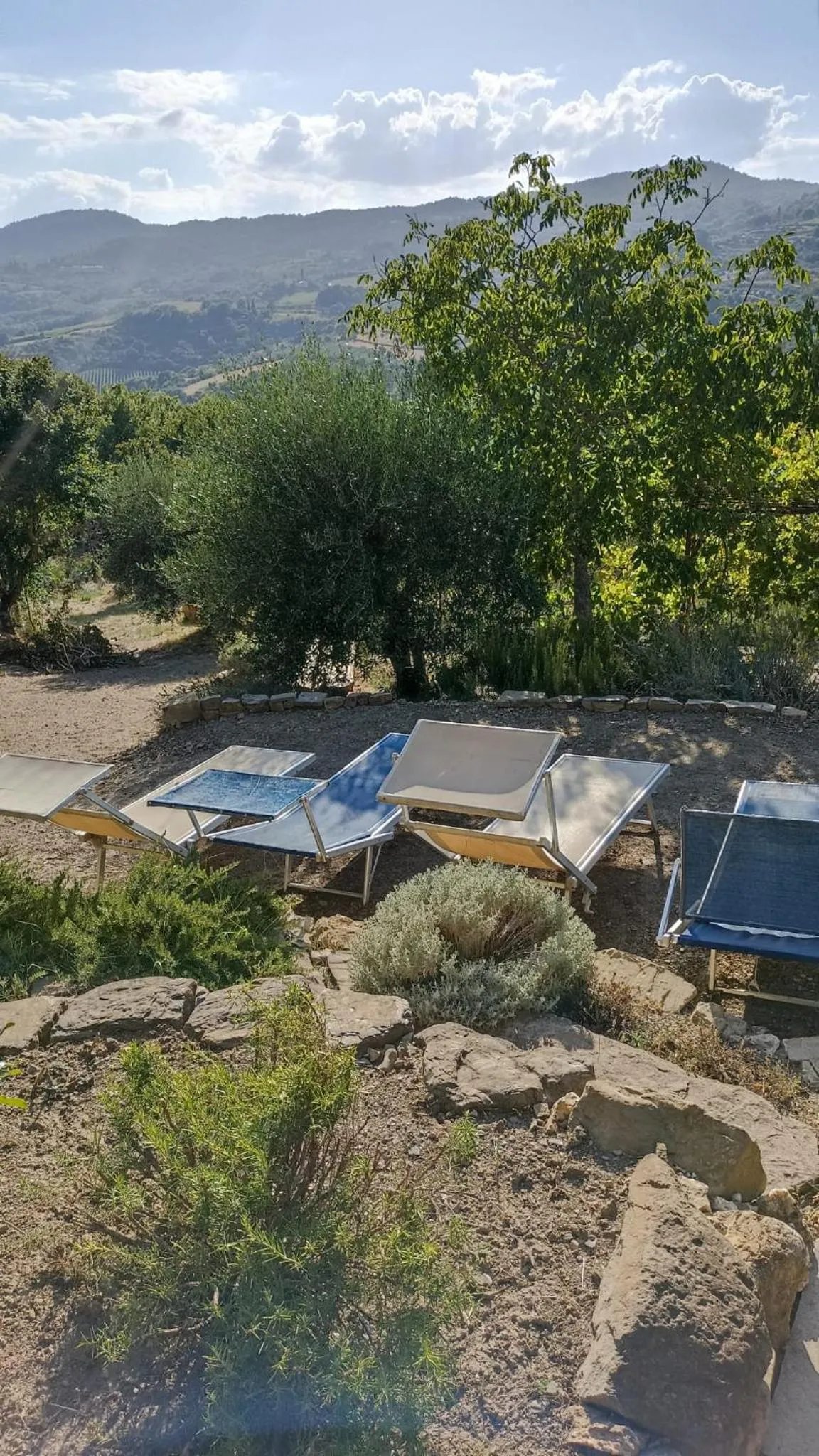 Natural landscape in B&B Lavanda e Rosmarino