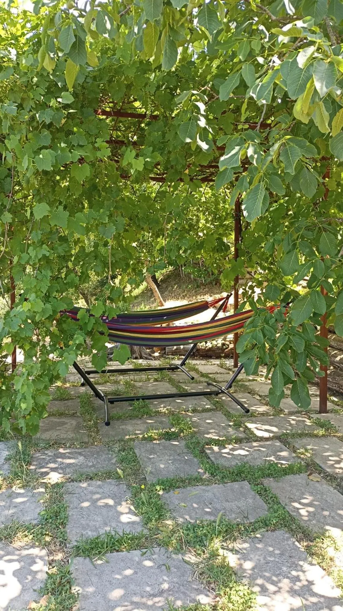 Swimming pool in B&B Lavanda e Rosmarino