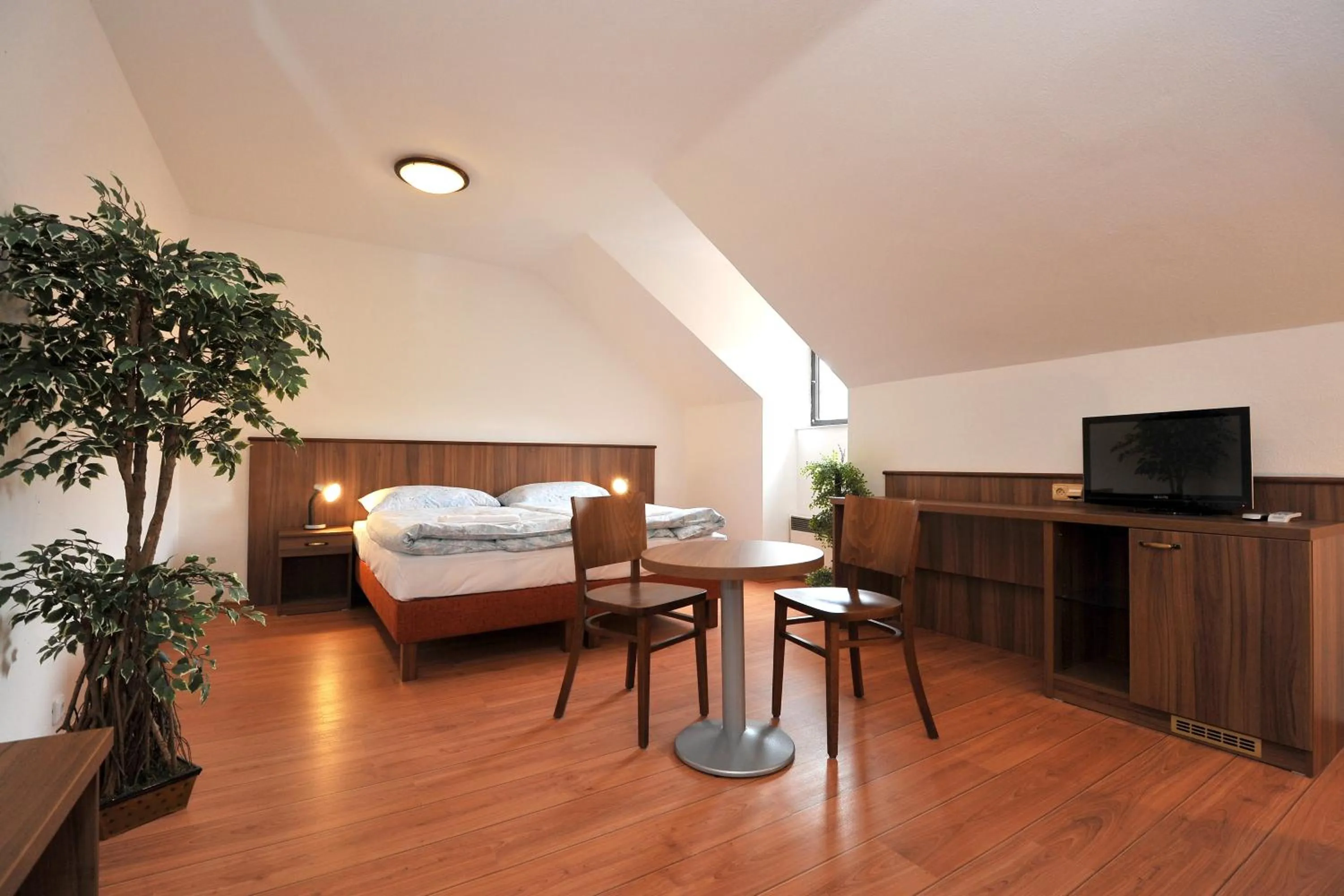 TV and multimedia, Bed in Hotel Kácov