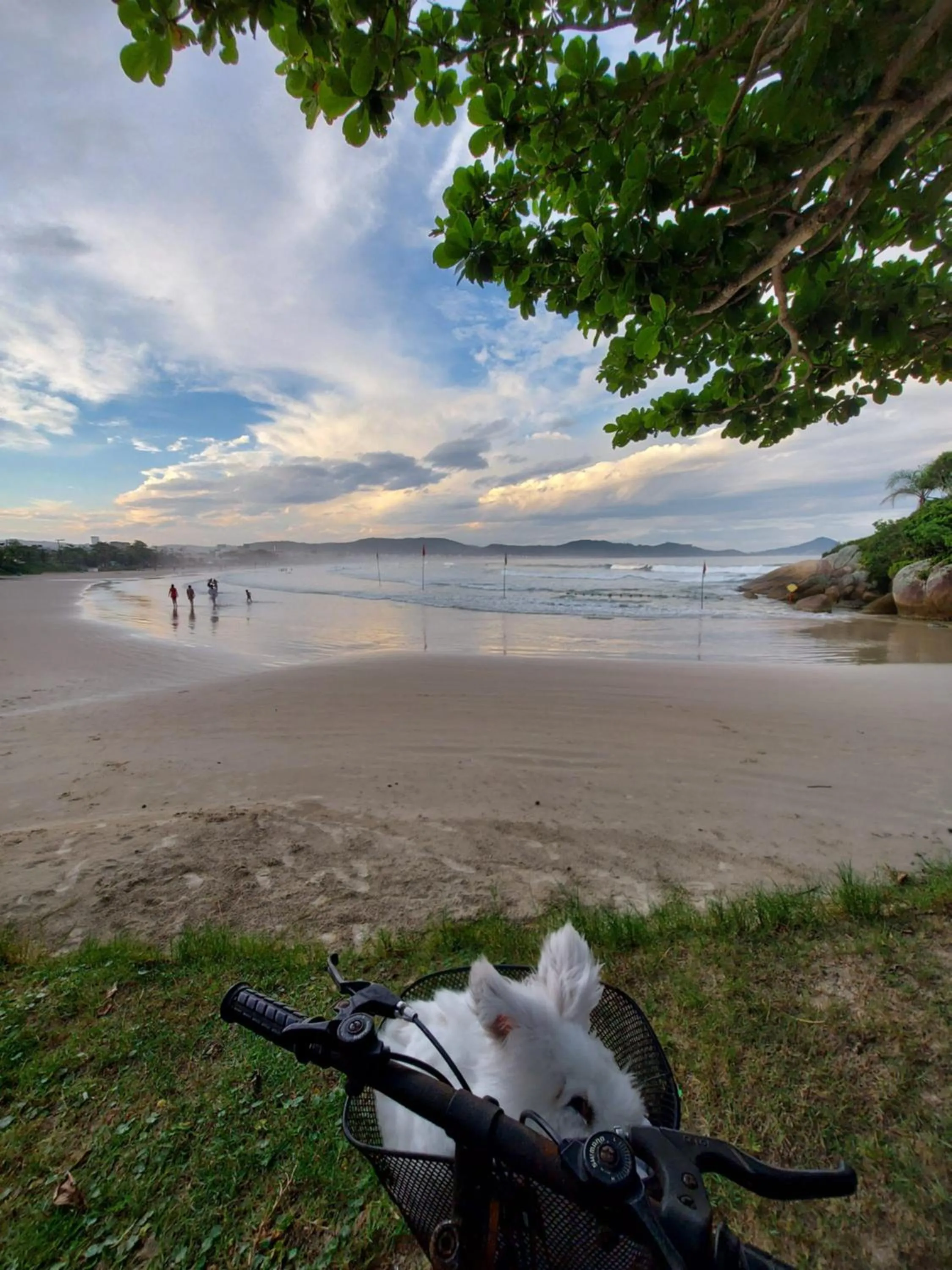 Beach in Pousada Al Mare