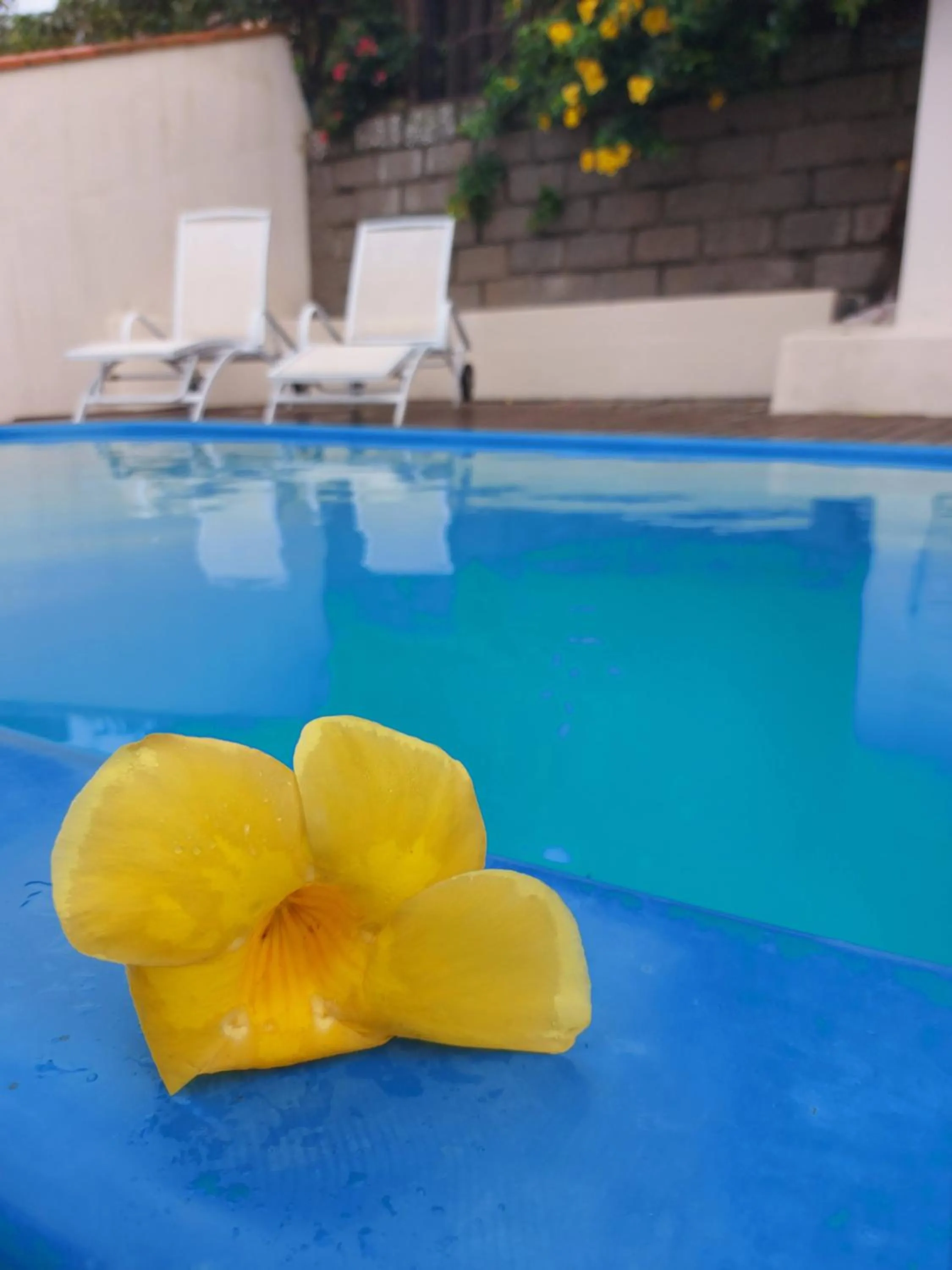 Swimming pool in Pousada Al Mare