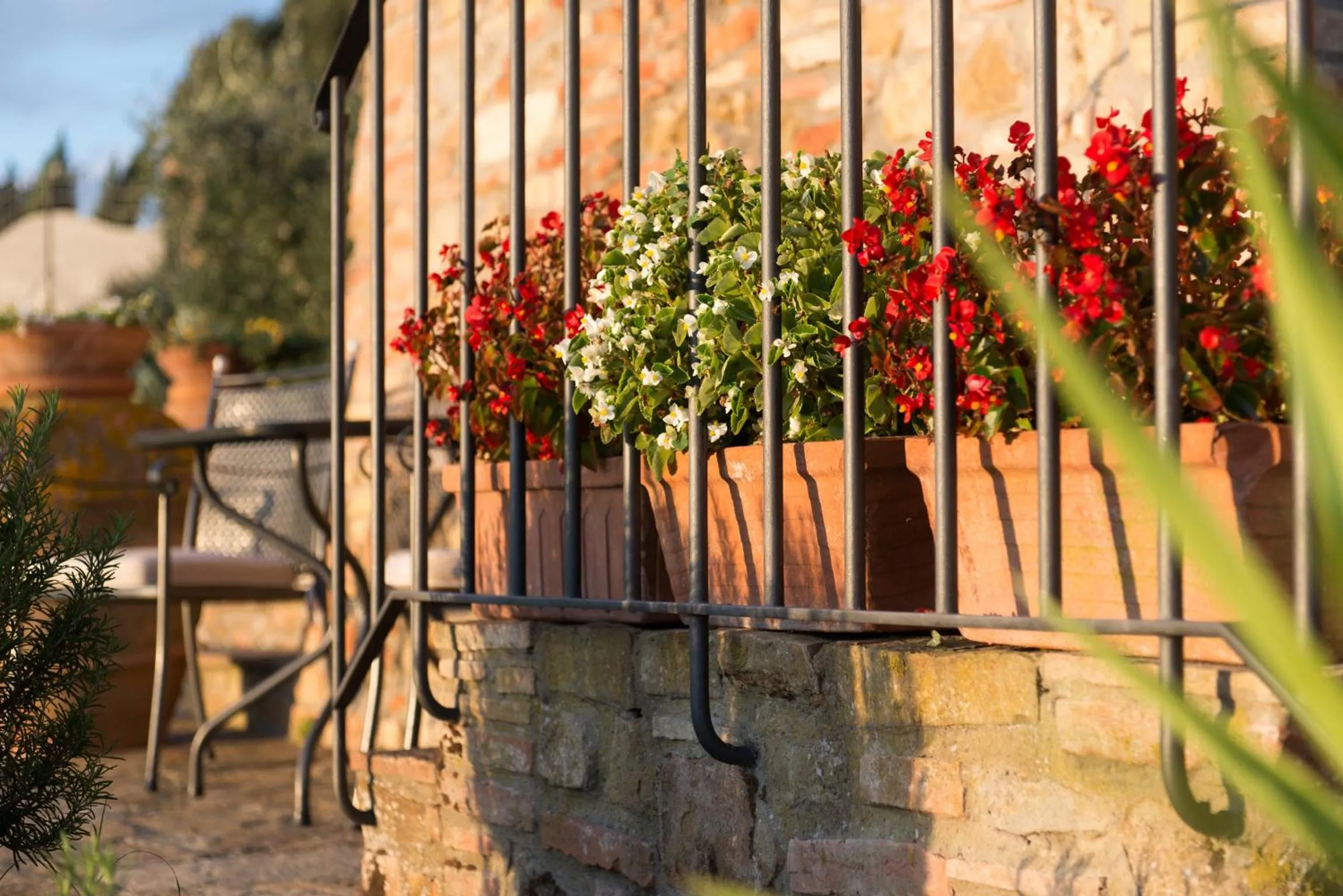 Patio in Il Coltro
