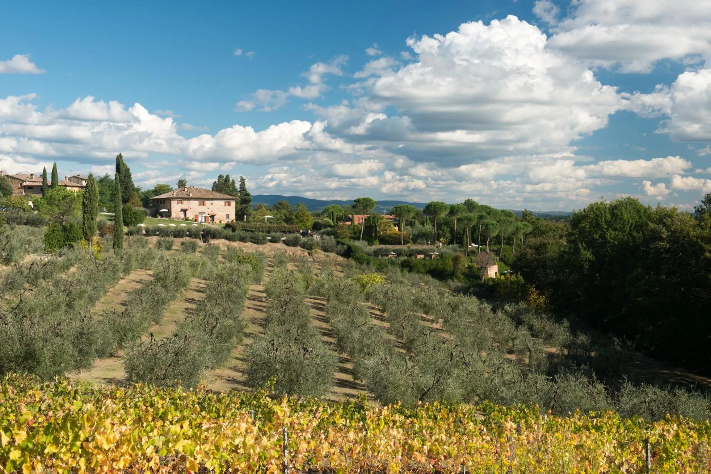 Day in Il Coltro