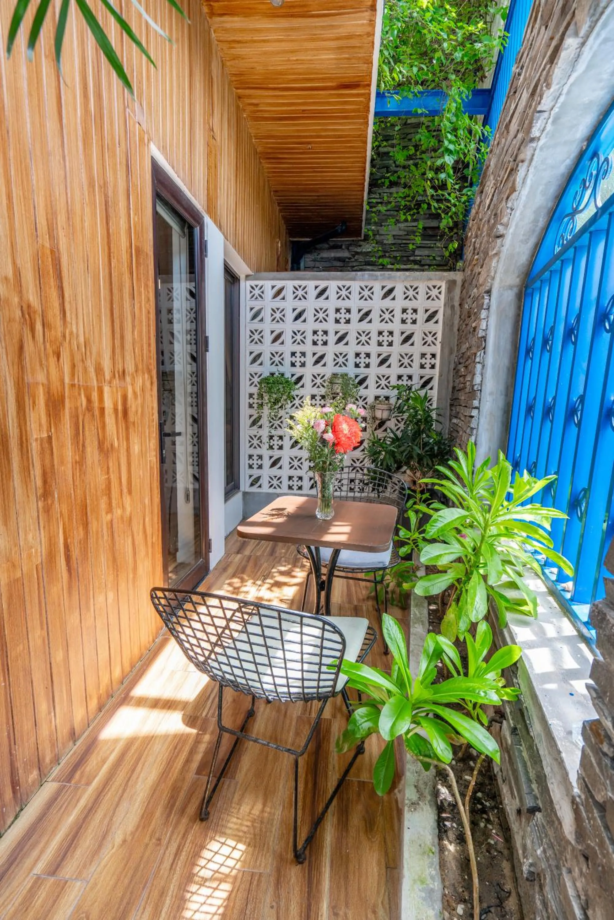 Patio in Cani Beach House