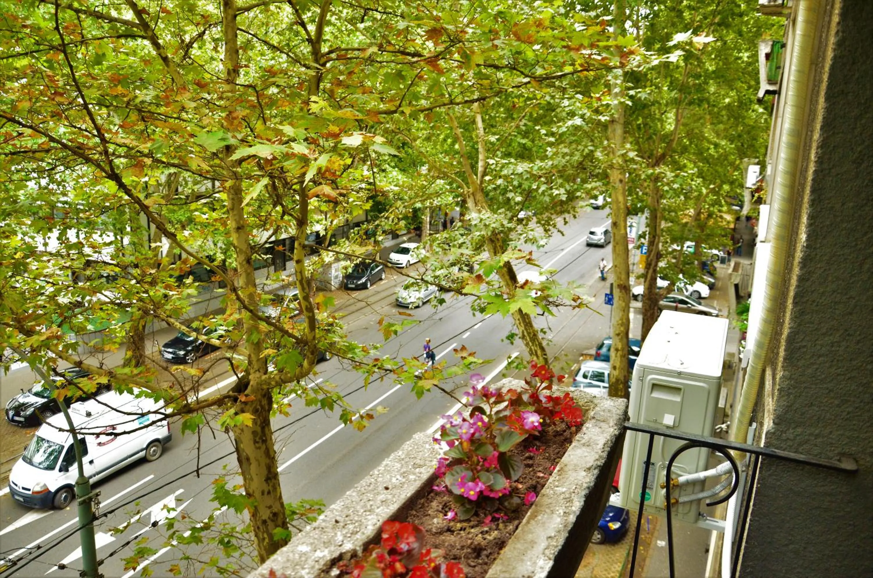 Apartman Centar Tas